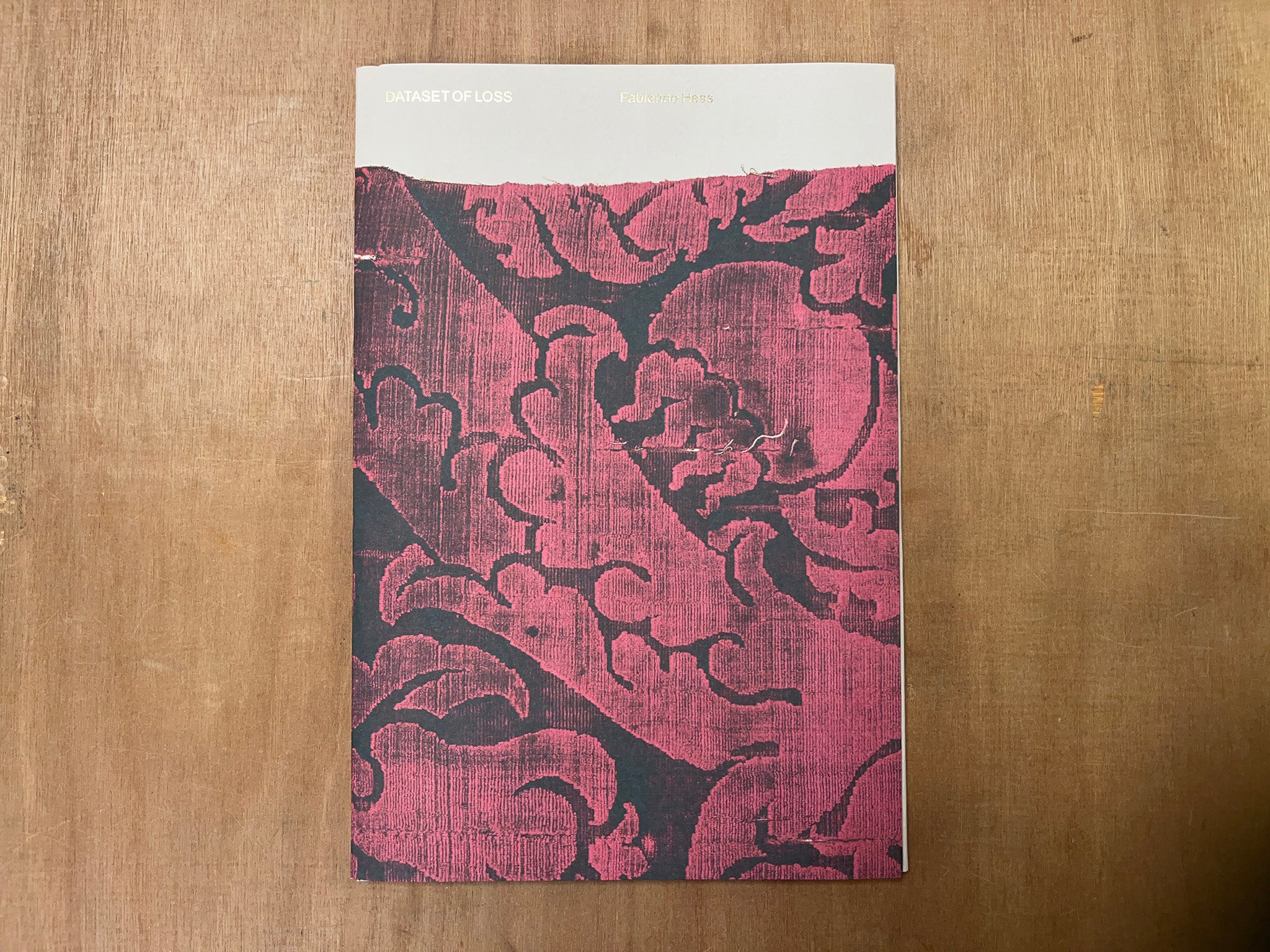 DATASET OF LOSS by Fabienne Hess