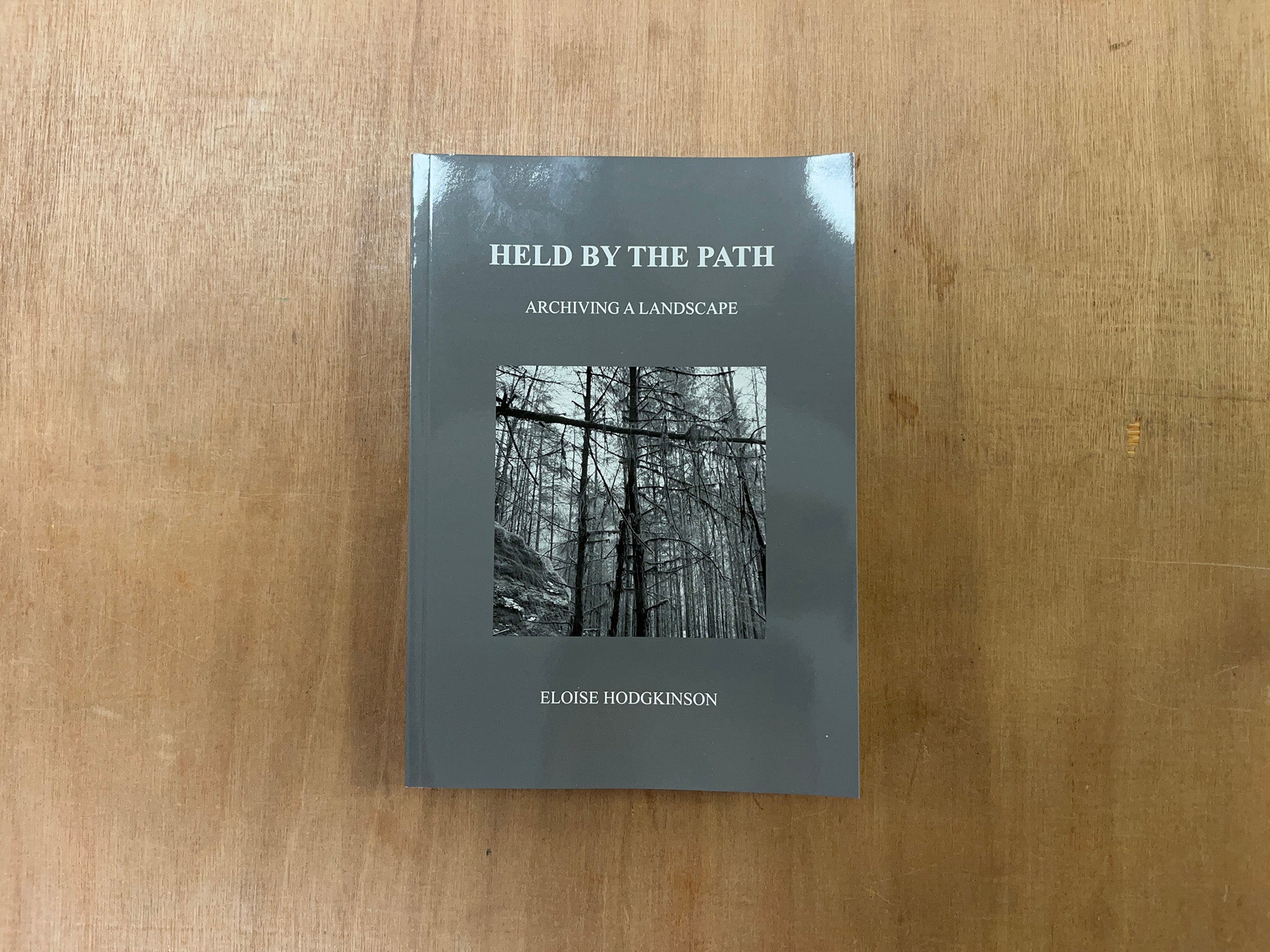 HELD BY THE PATH by Eloise Hodgkinson