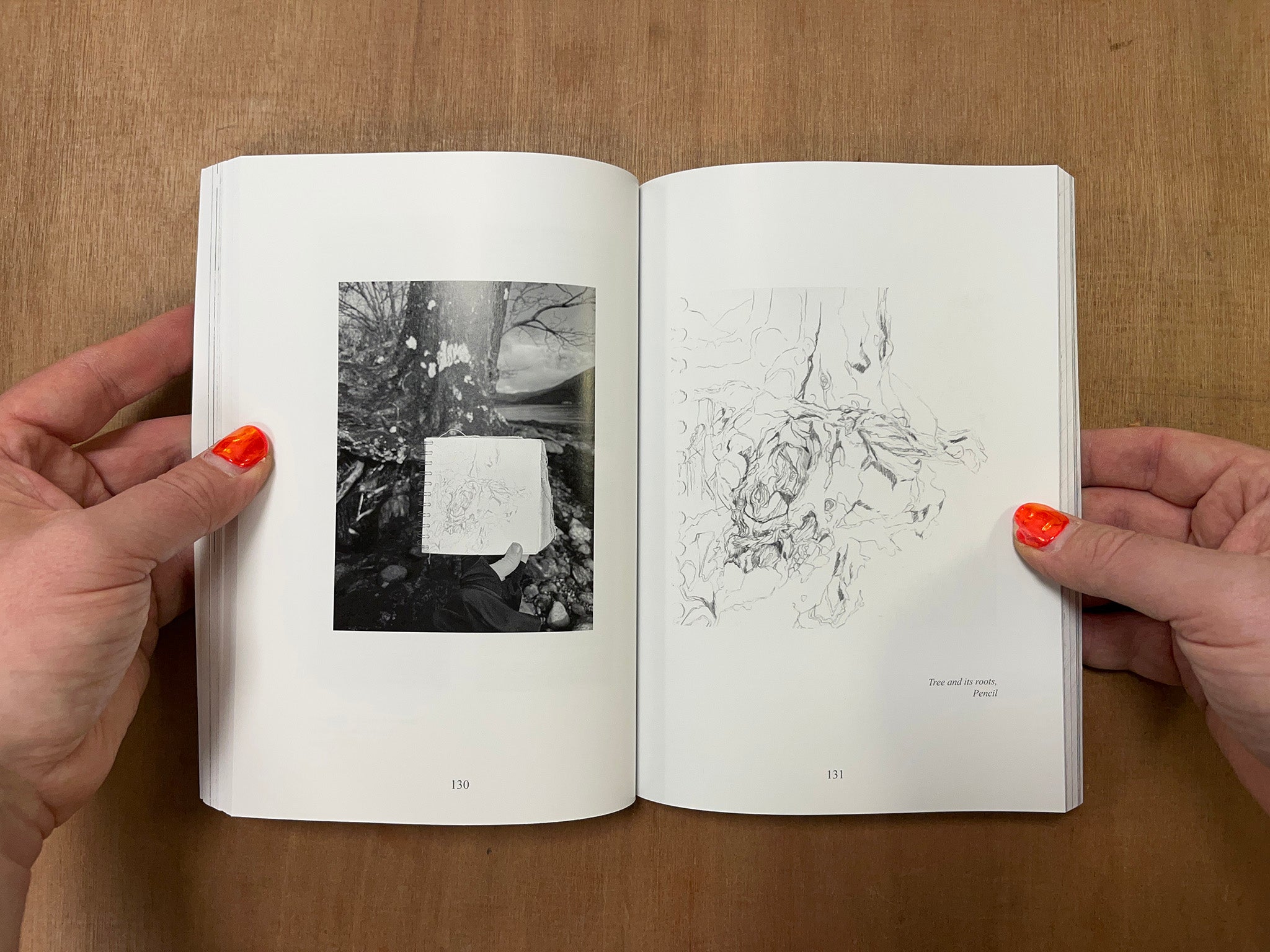 HELD BY THE PATH by Eloise Hodgkinson
