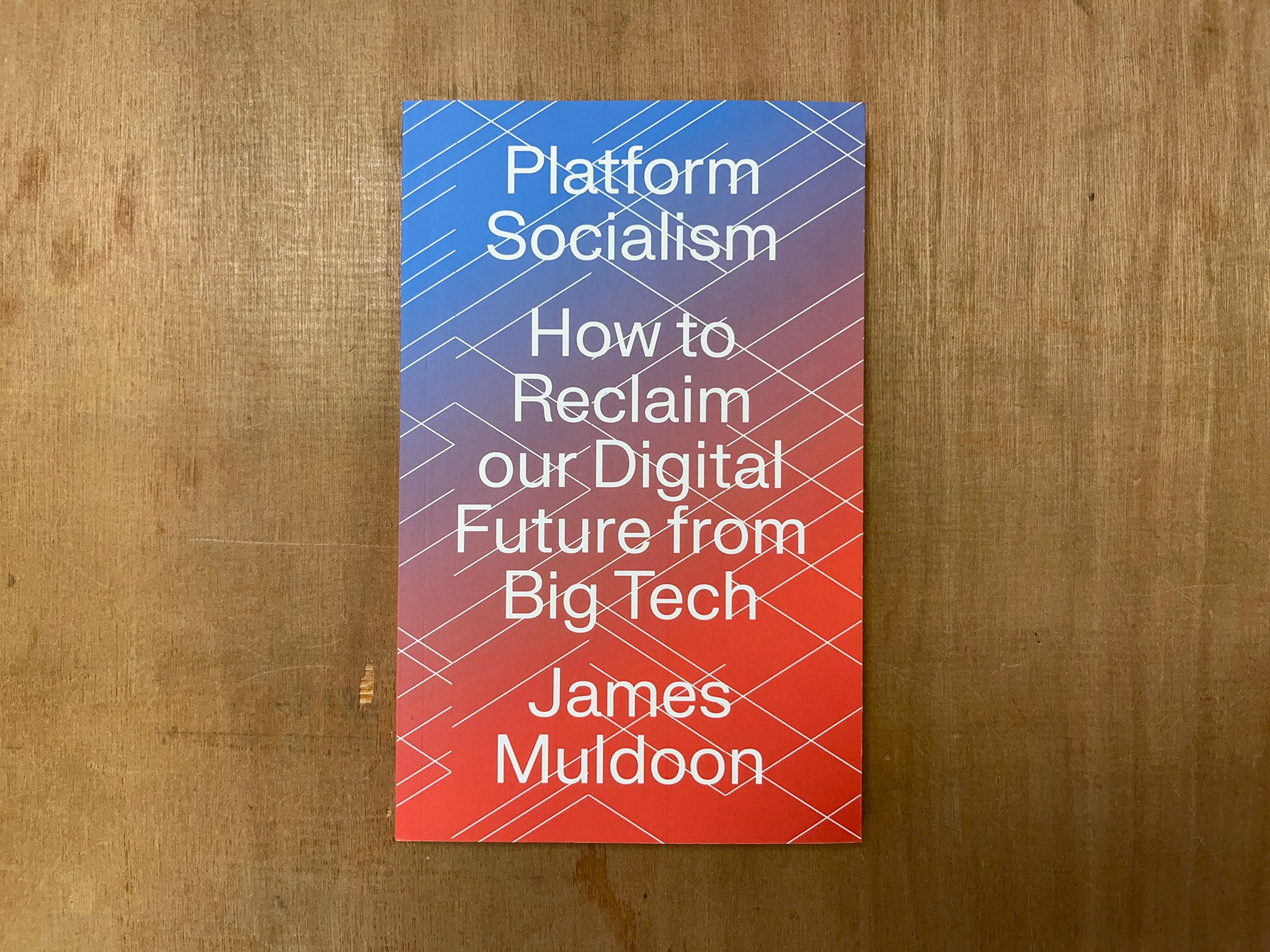 PLATFORM SOCIALISM: HOW TO RECLAIM OUR DIGITAL FUTURE FROM BIG TECH by James Muldoon