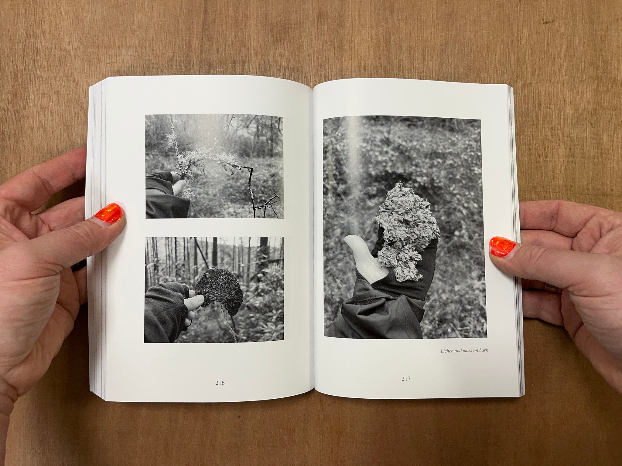 HELD BY THE PATH by Eloise Hodgkinson