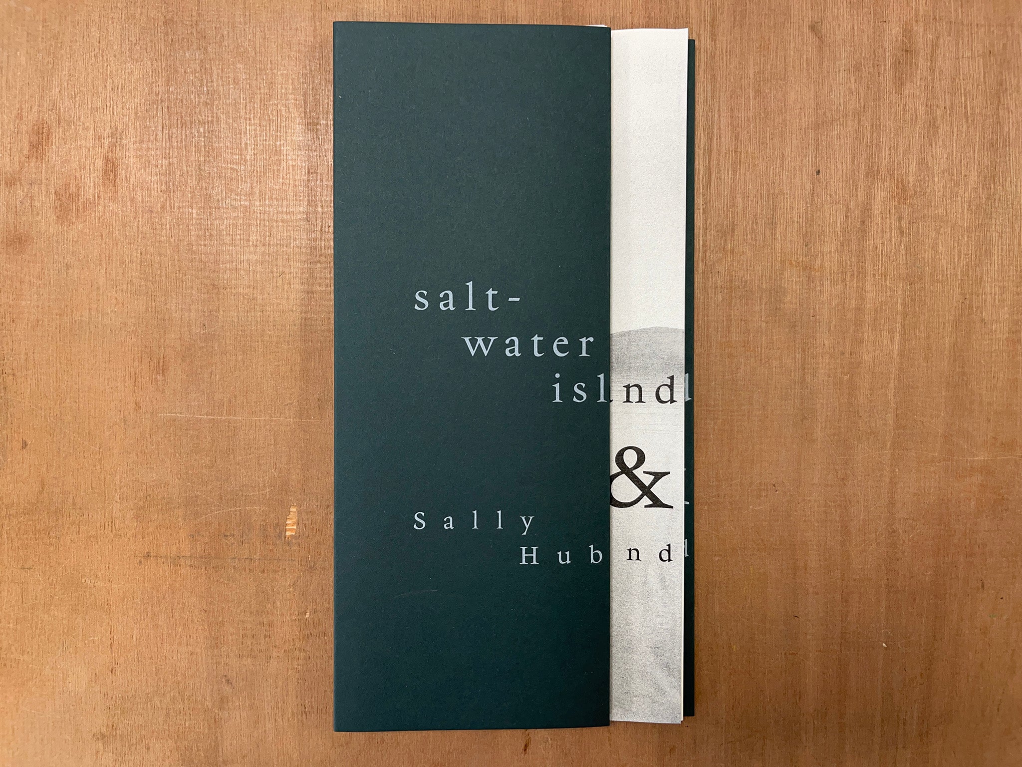 SALT-WATER ISLAND by Sally Huband