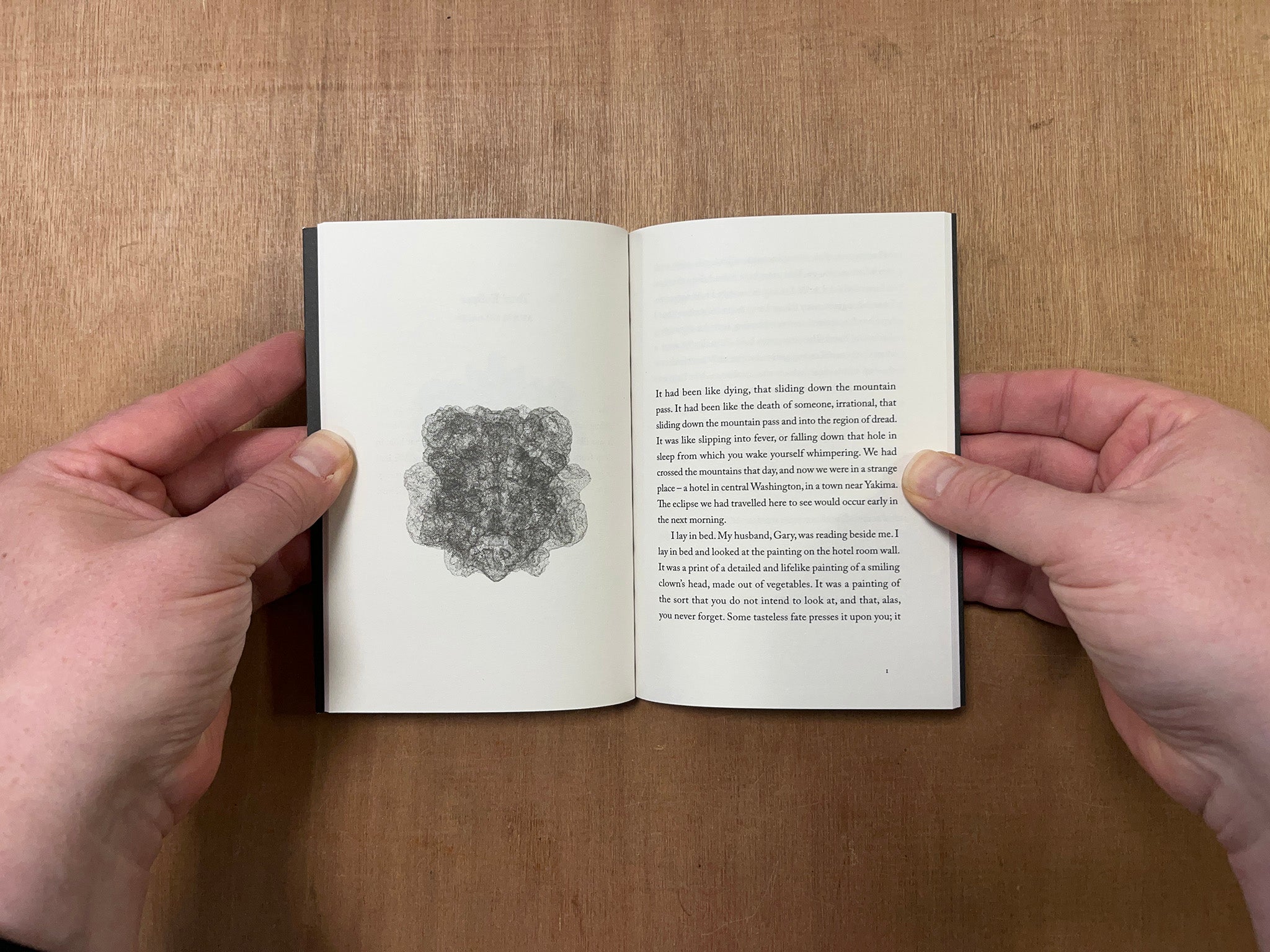 TOTAL ECLIPSE by Annie Dillard