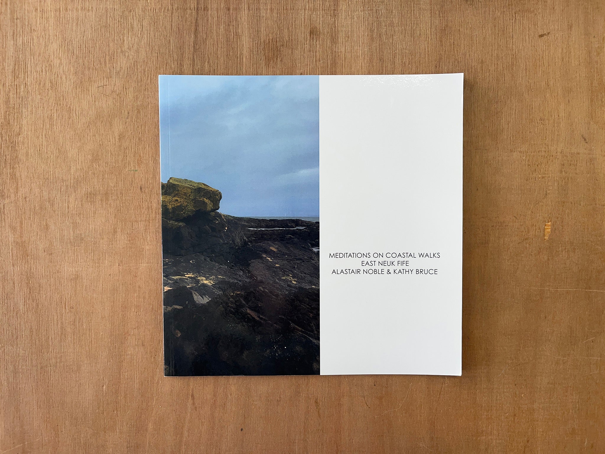 MEDITATIONS ON A COASTAL WALKS VOL. II by Alastair R Noble & Kathy Bruce