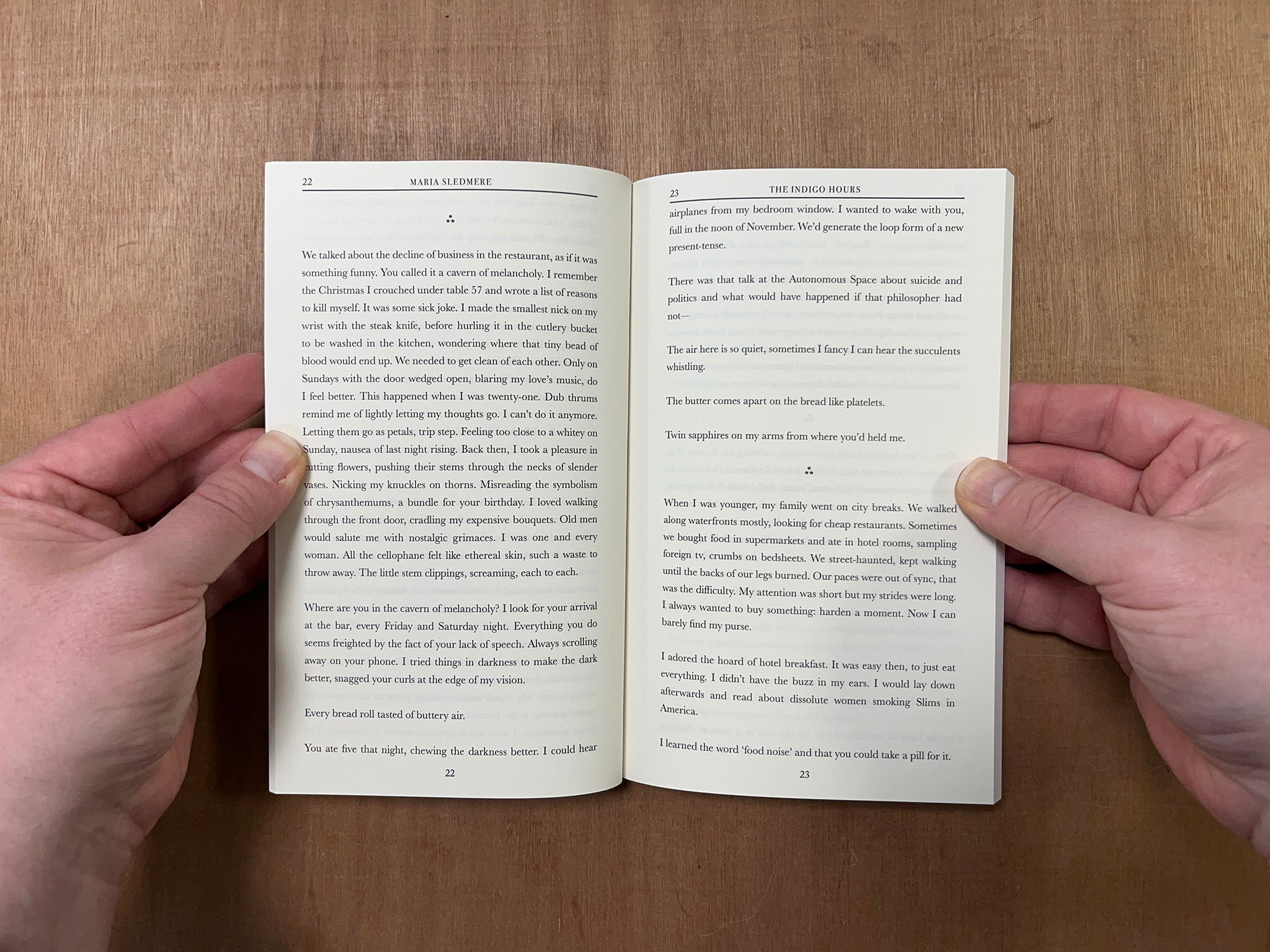 THE INDIGO HOURS by Maria Sledmere