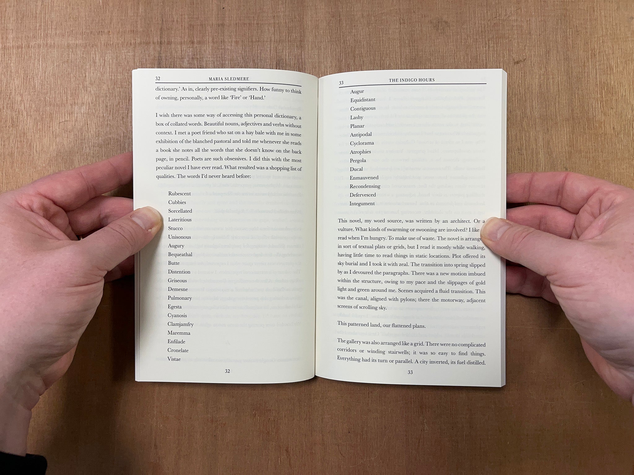 THE INDIGO HOURS by Maria Sledmere