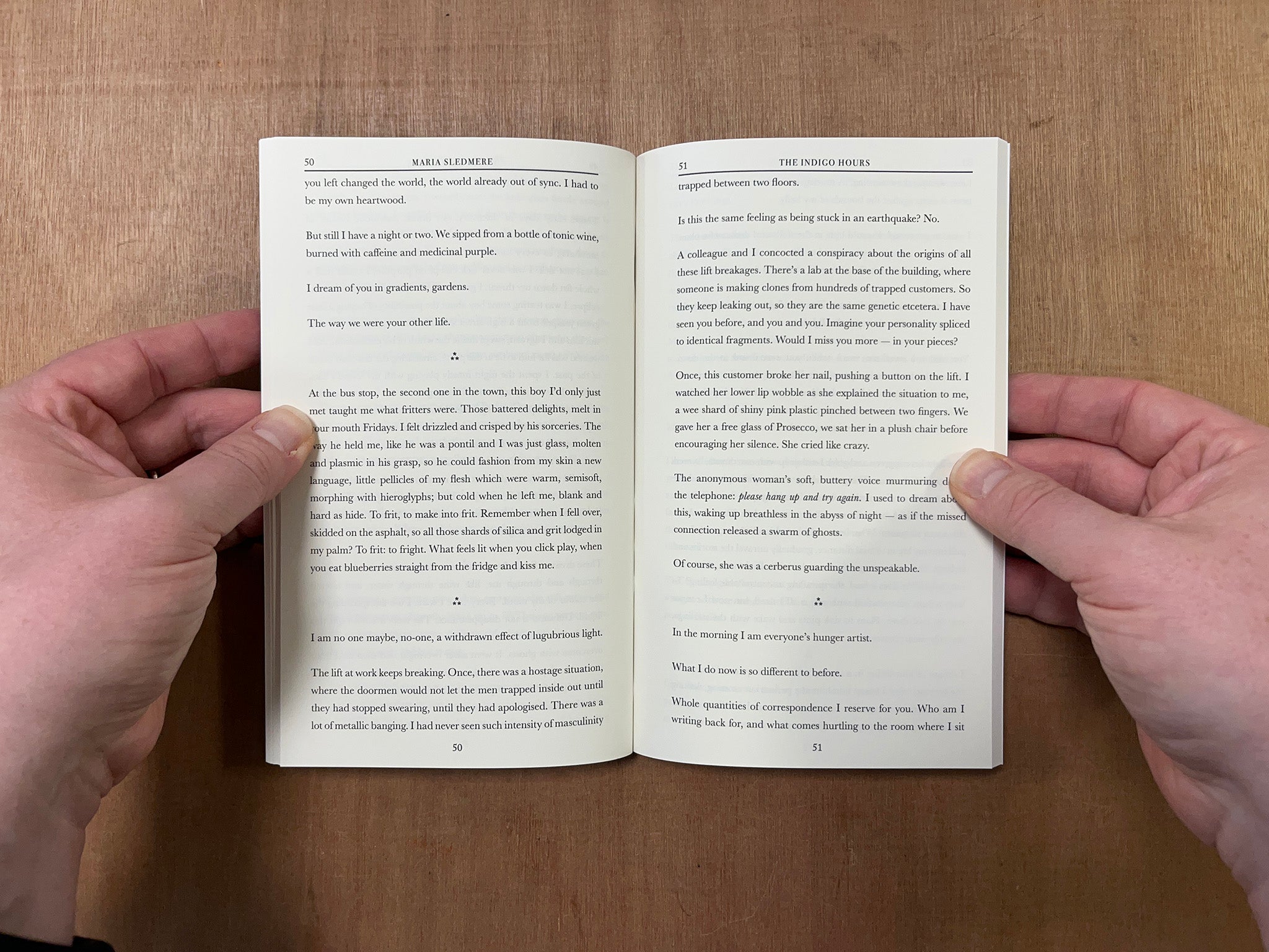 THE INDIGO HOURS by Maria Sledmere