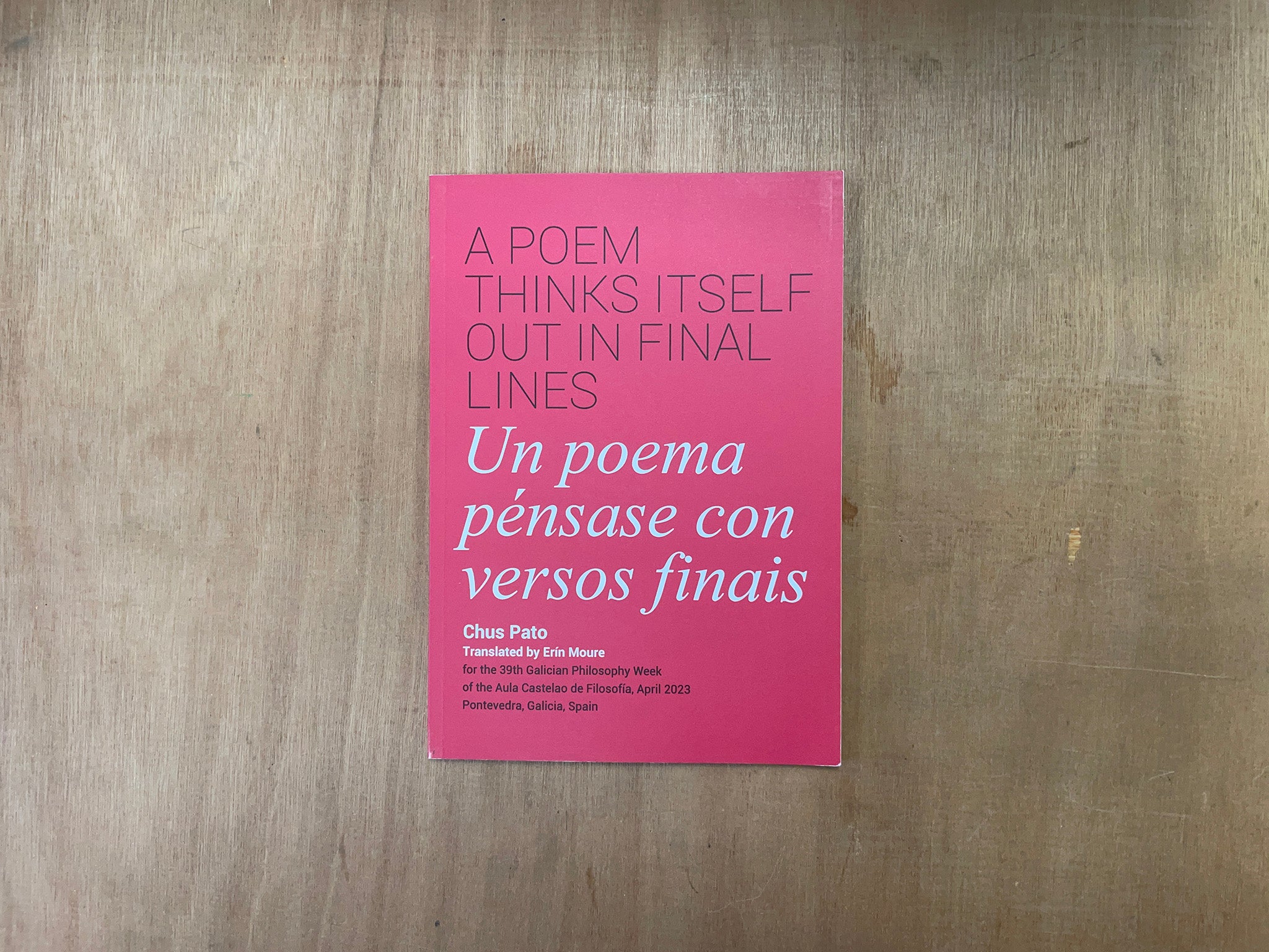A POEM THINKS ITSELF OUT IN FINAL LINES by Chus Pato
