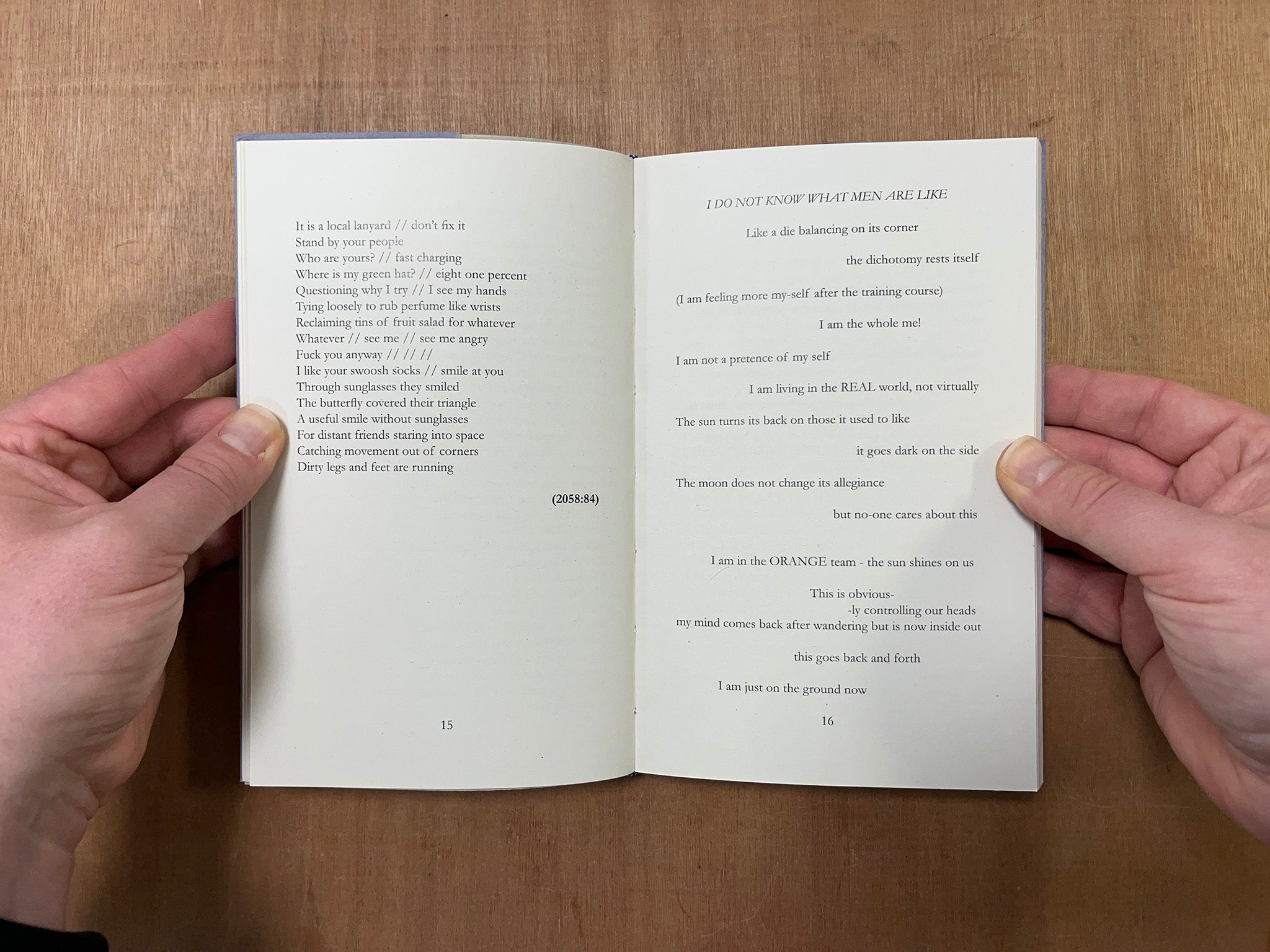 ON THE ADVICE OF DONNA OR A DREAM by Sally Barrett