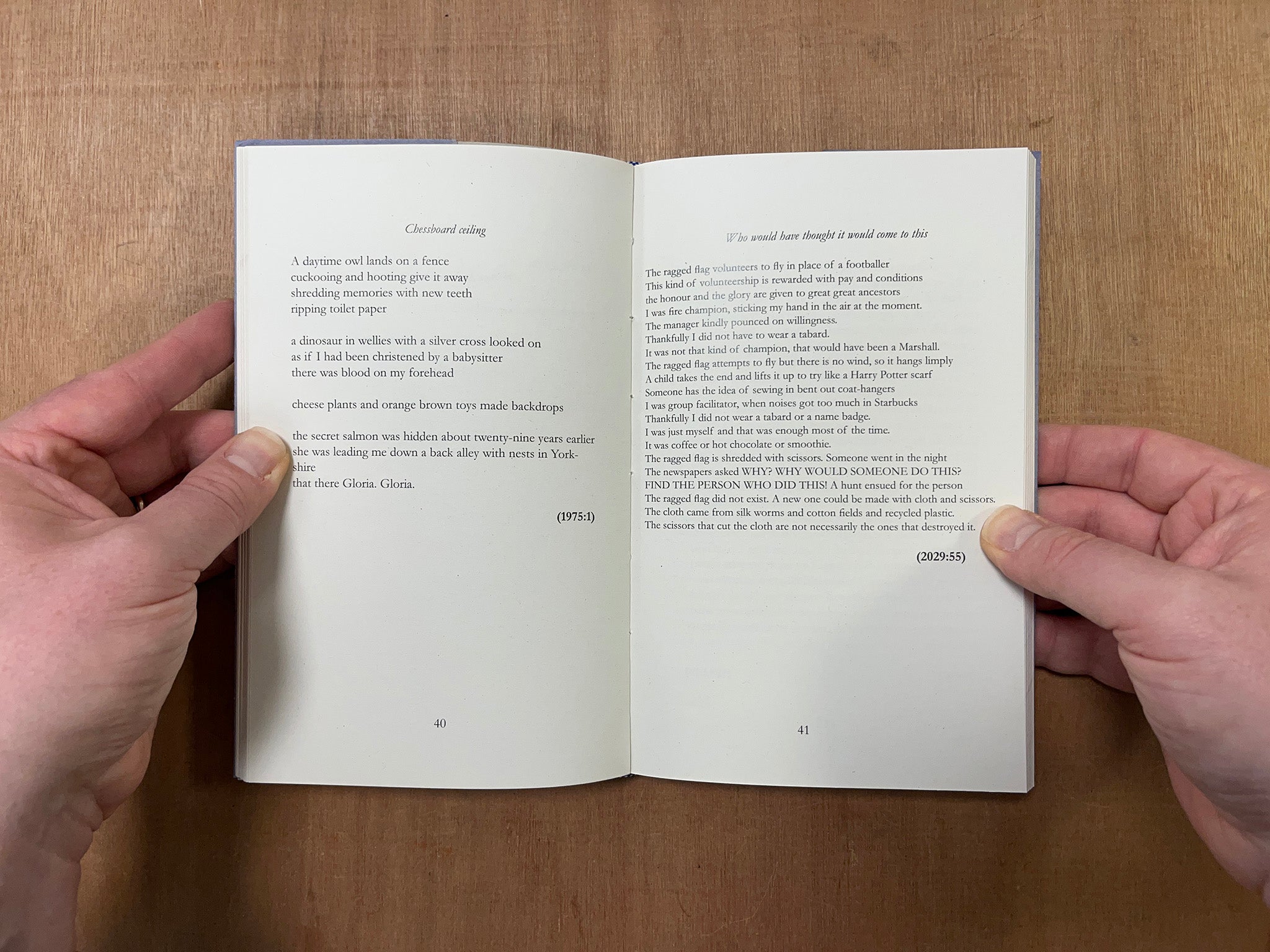 ON THE ADVICE OF DONNA OR A DREAM by Sally Barrett