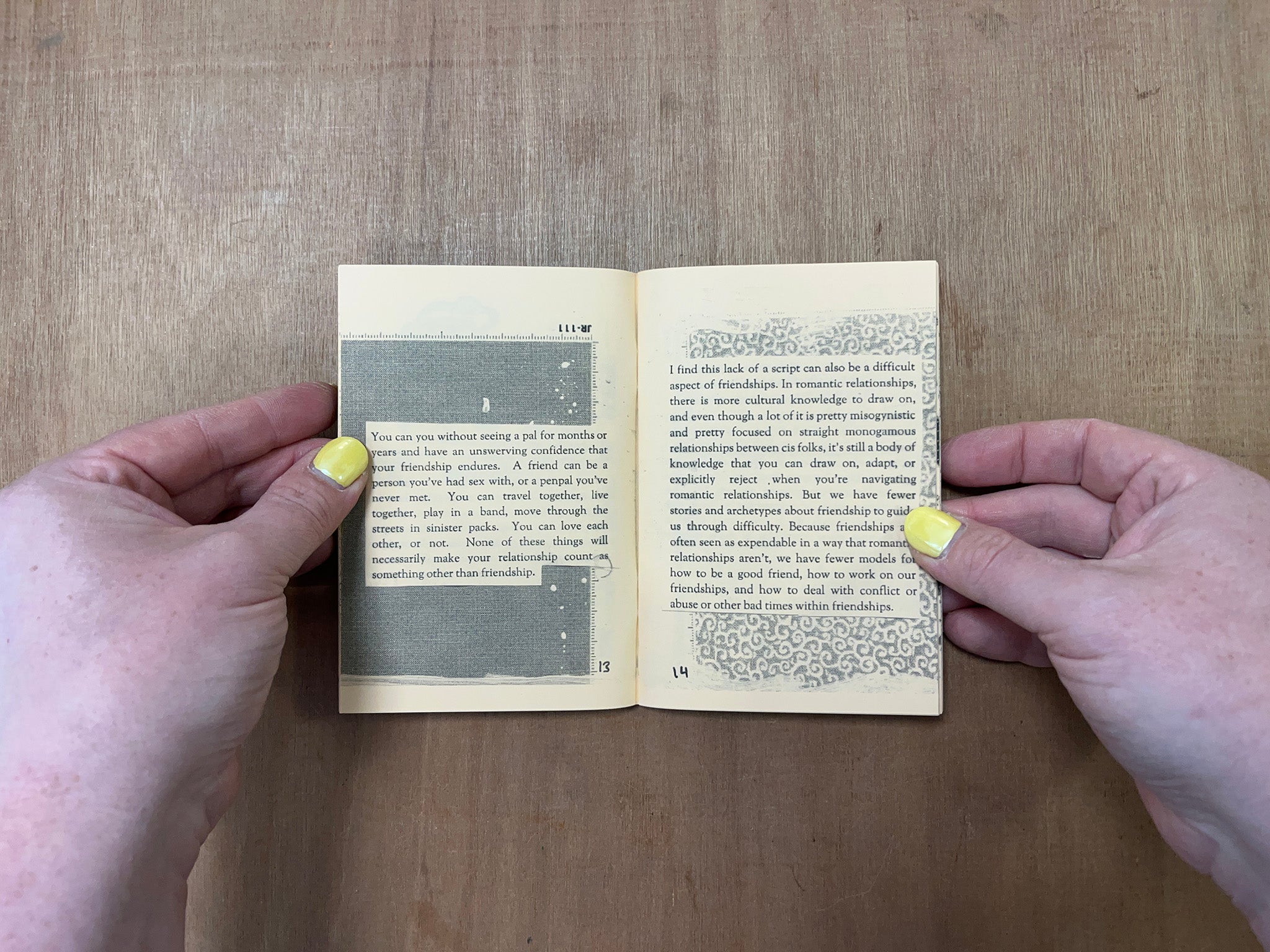 PALS: THE RADICAL POSSIBILITIES OF FRIENDSHIP by Lee Arden