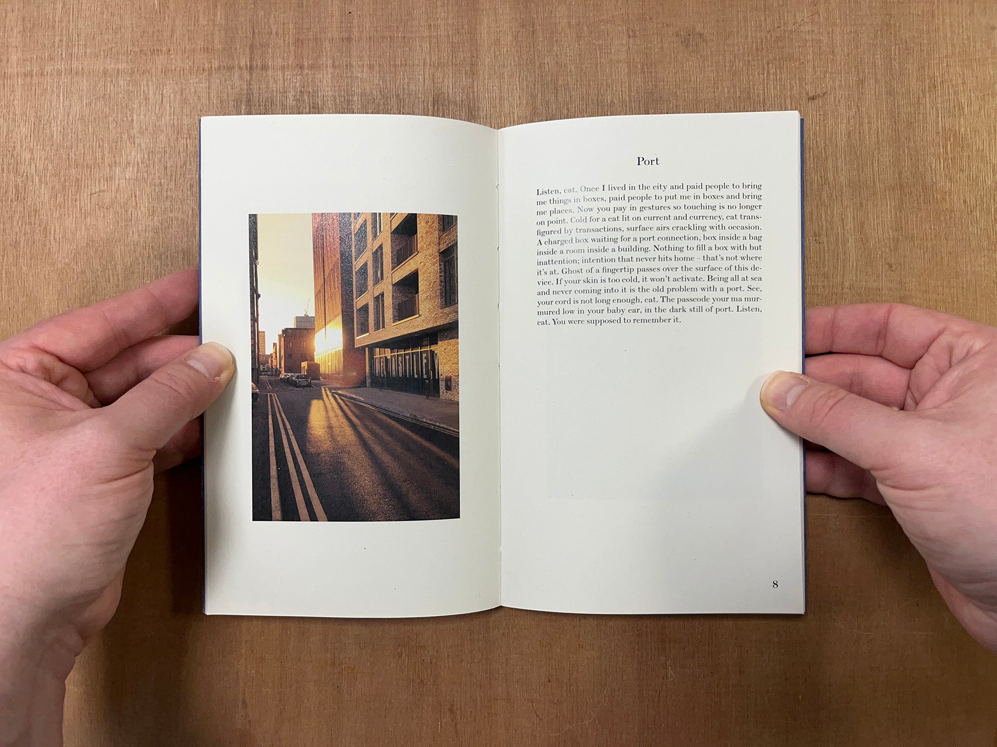 DEERYARD by Kate Feld