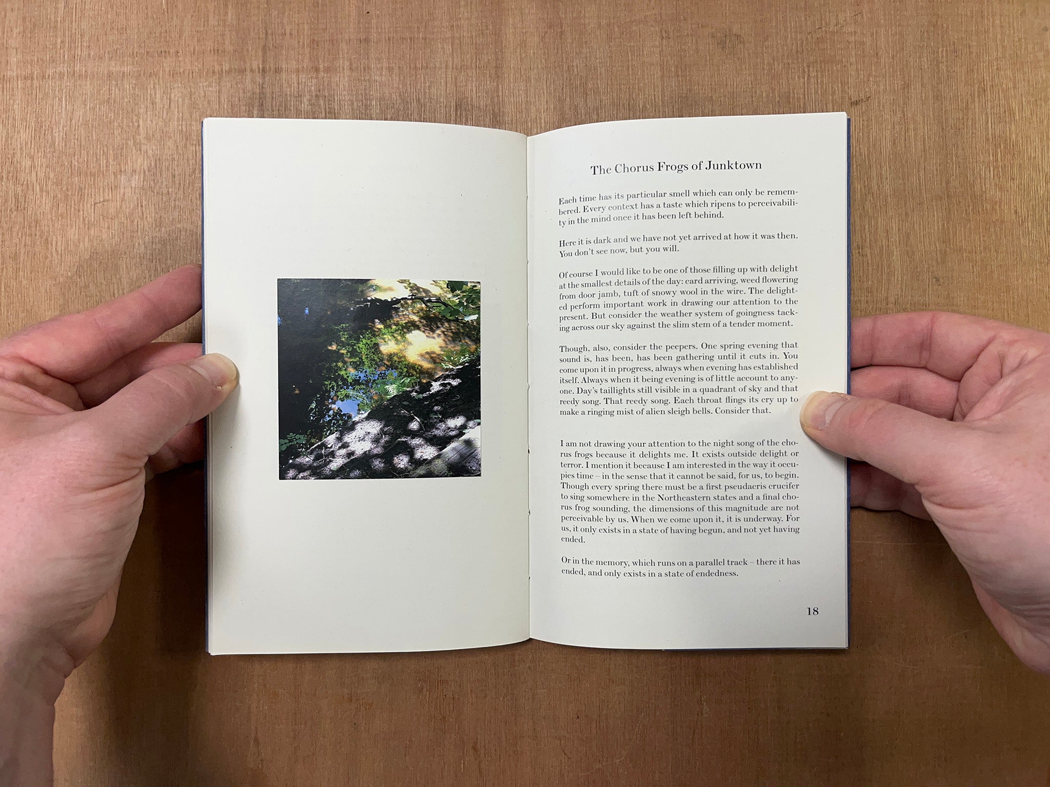 DEERYARD by Kate Feld