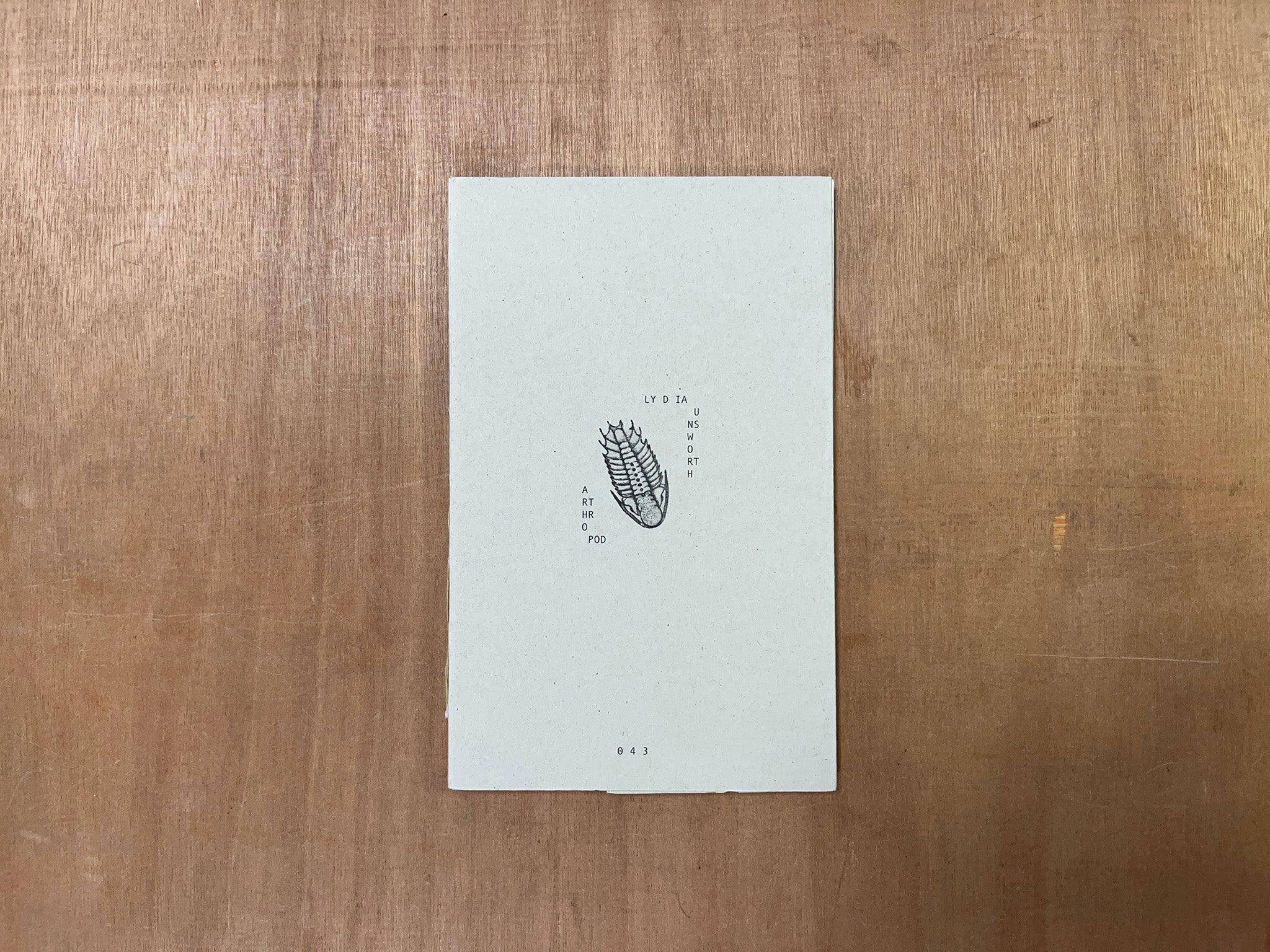 ARTHROPOD by Lydia Unsworth