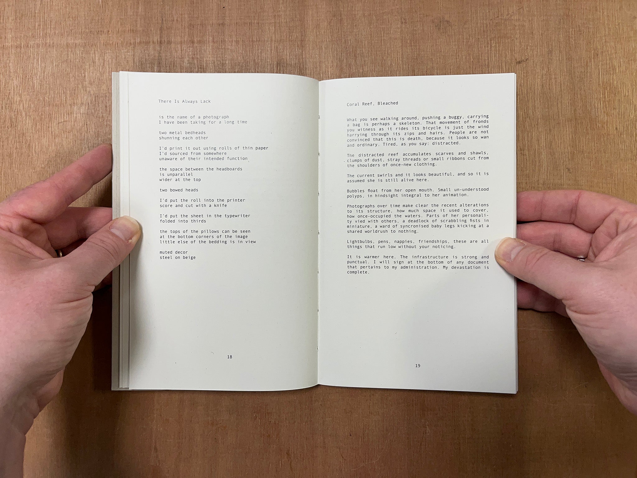 ARTHROPOD by Lydia Unsworth