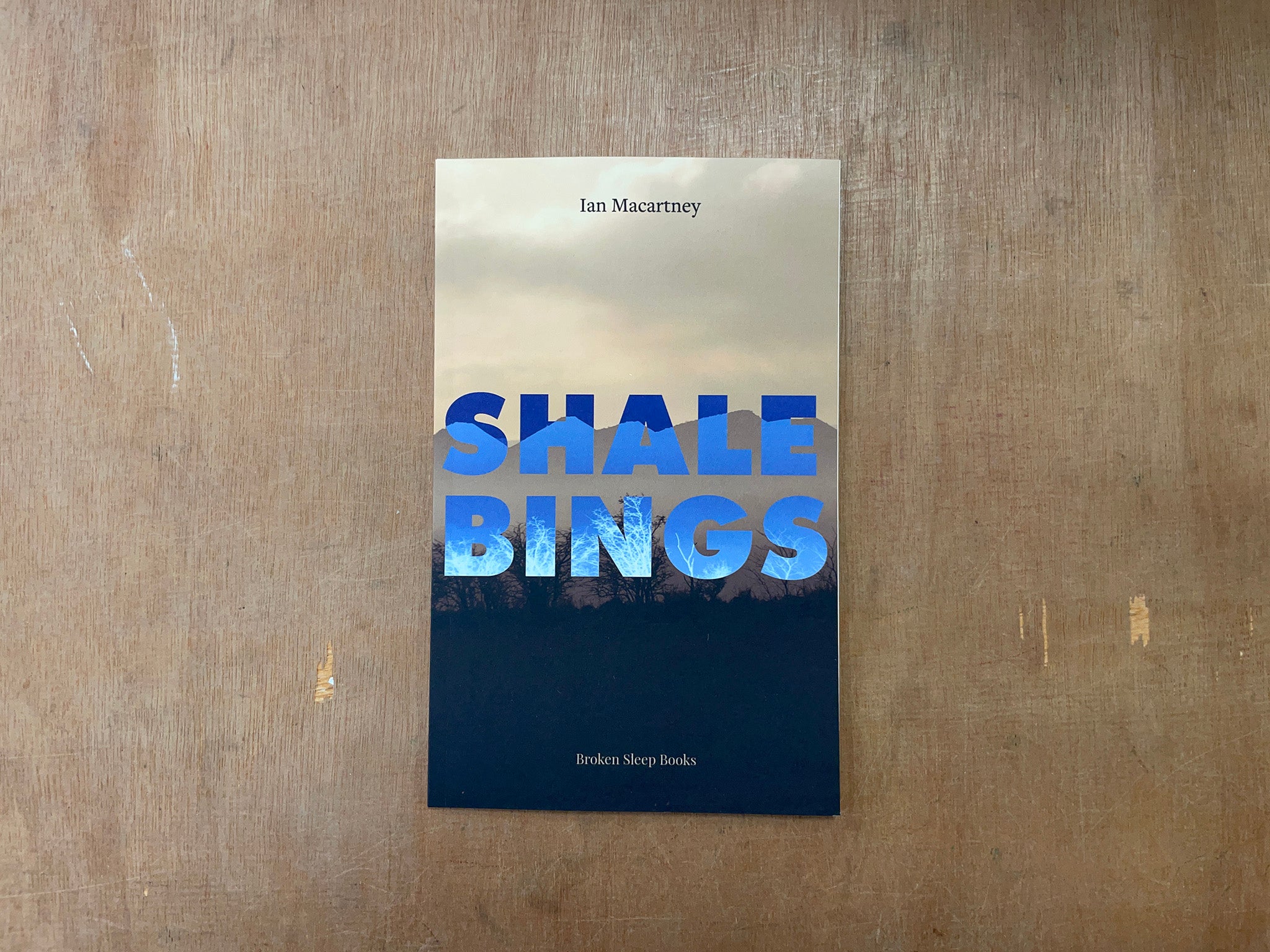 SHALE BINGS by Ian Macartney