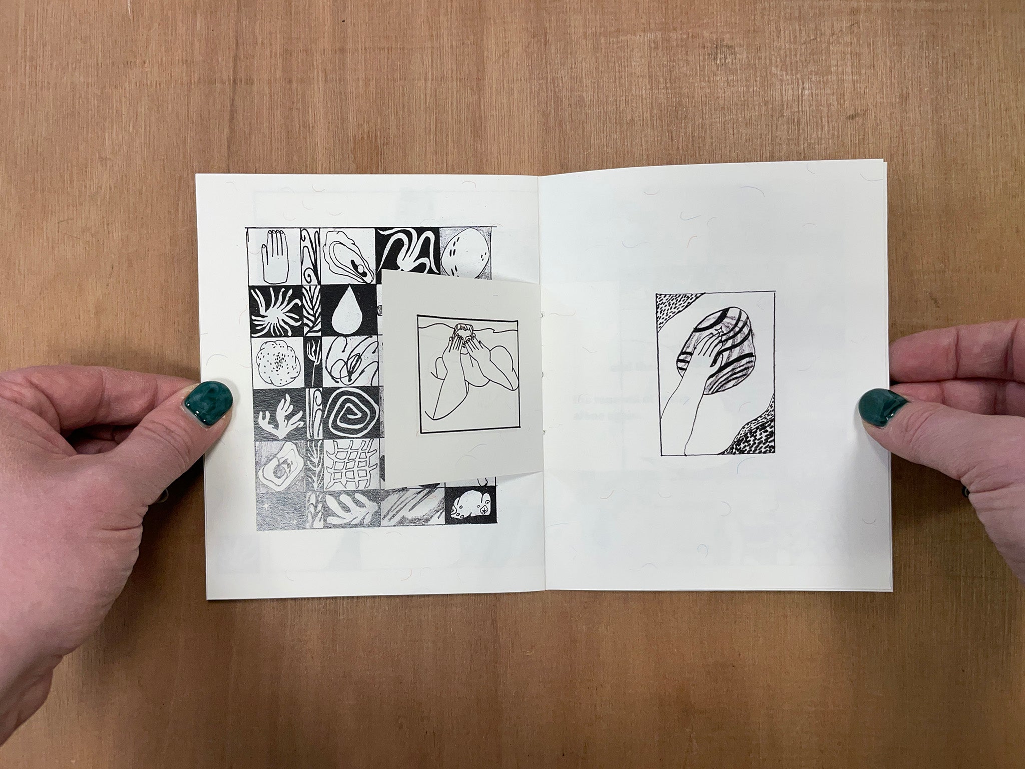 DRAWINGS FROM THE SEA by Lily Clementine Orset