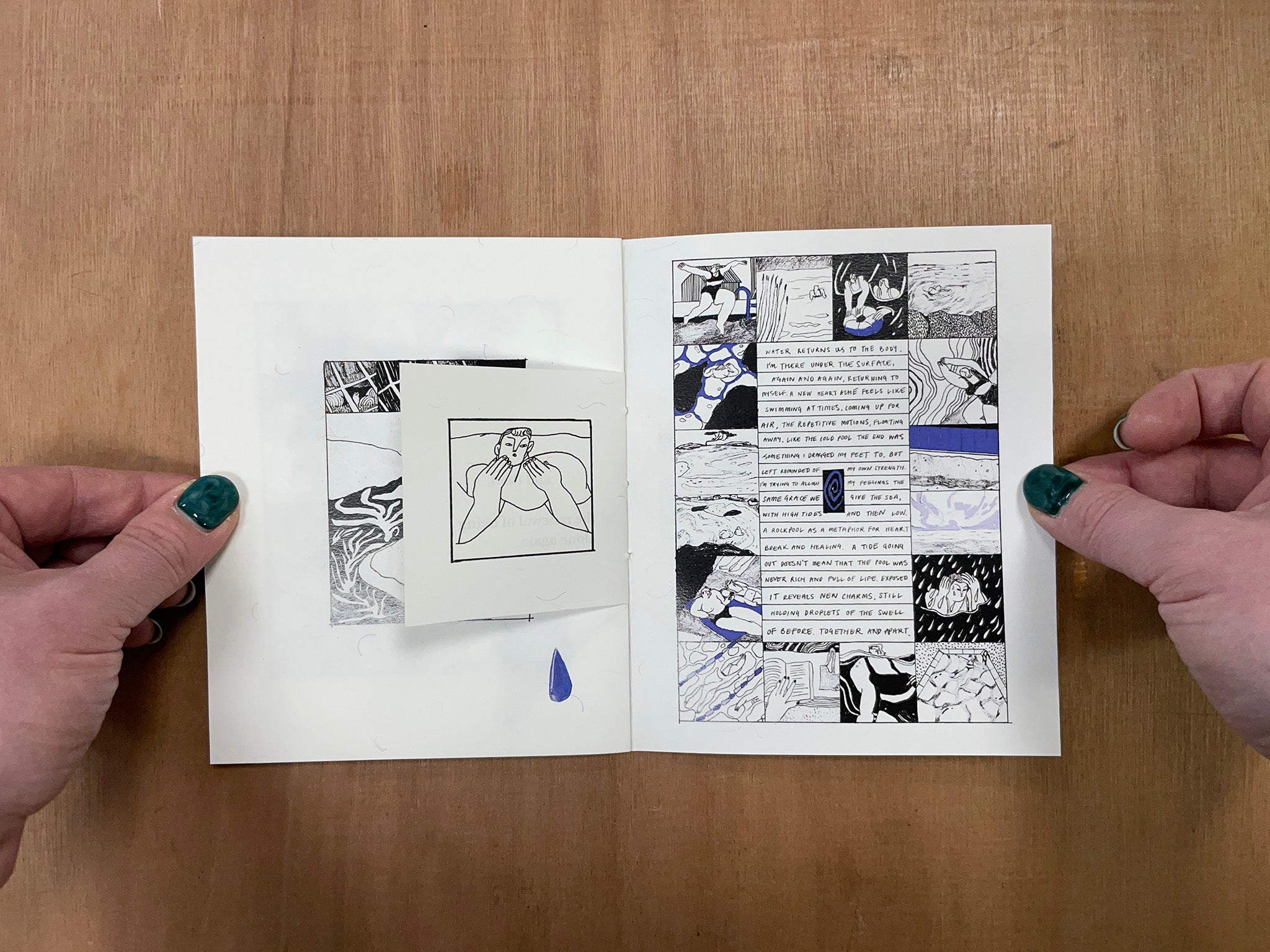 DRAWINGS FROM THE SEA by Lily Clementine Orset