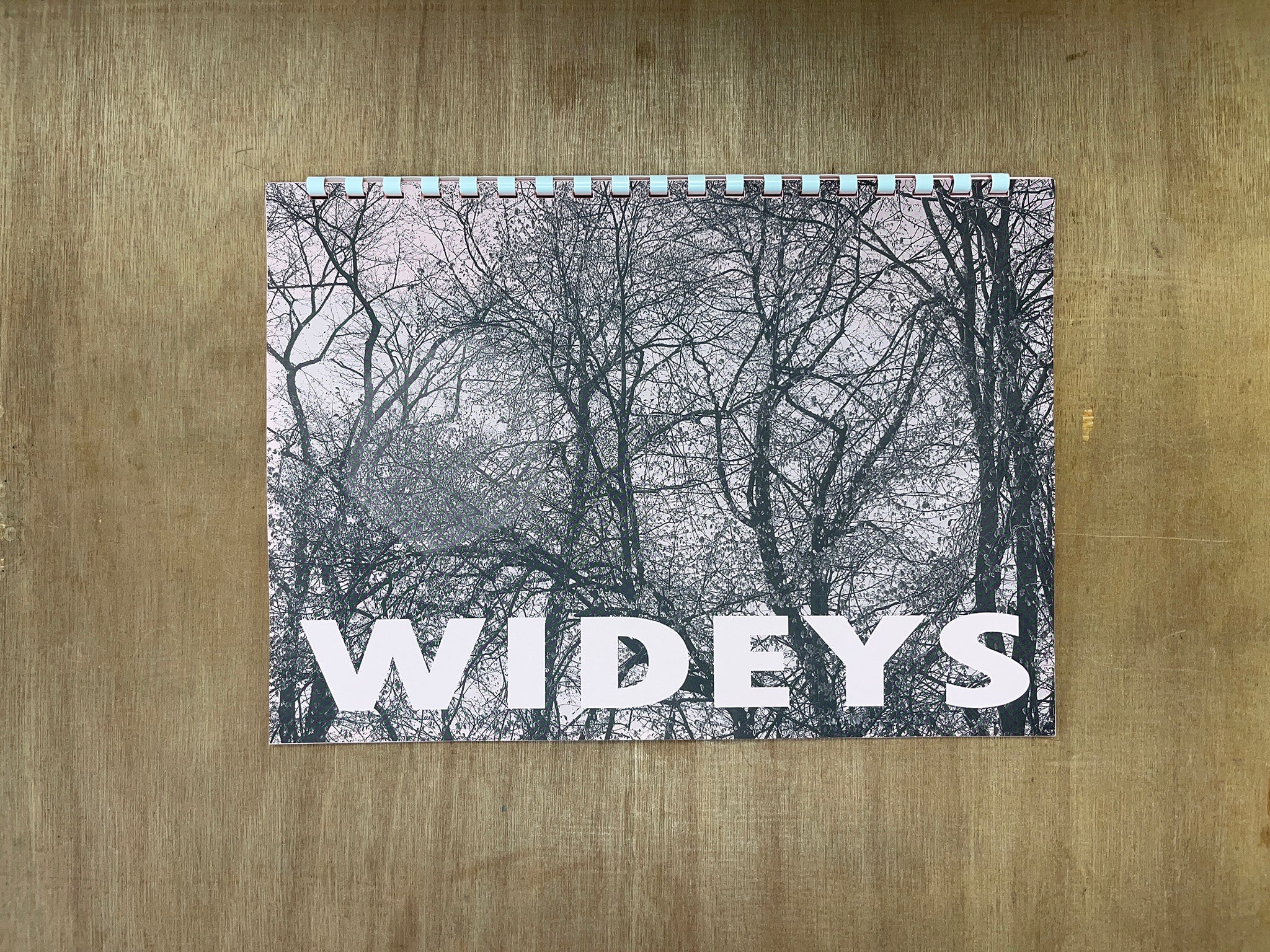 WIDEYS by Dave Ferrie