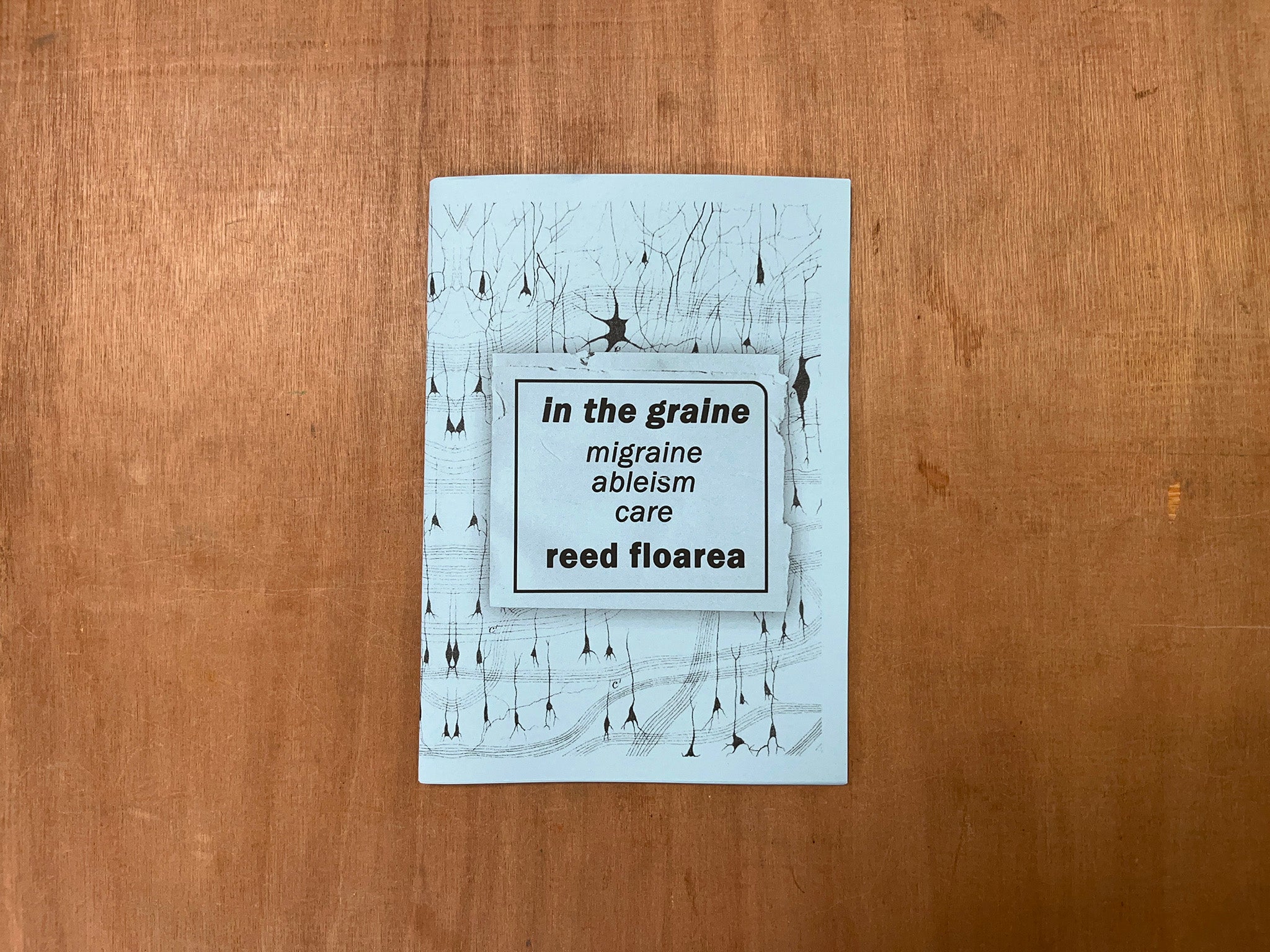 IN THE GRAINE: MIGRAINE, ABLEISM, CARE by reed floarea