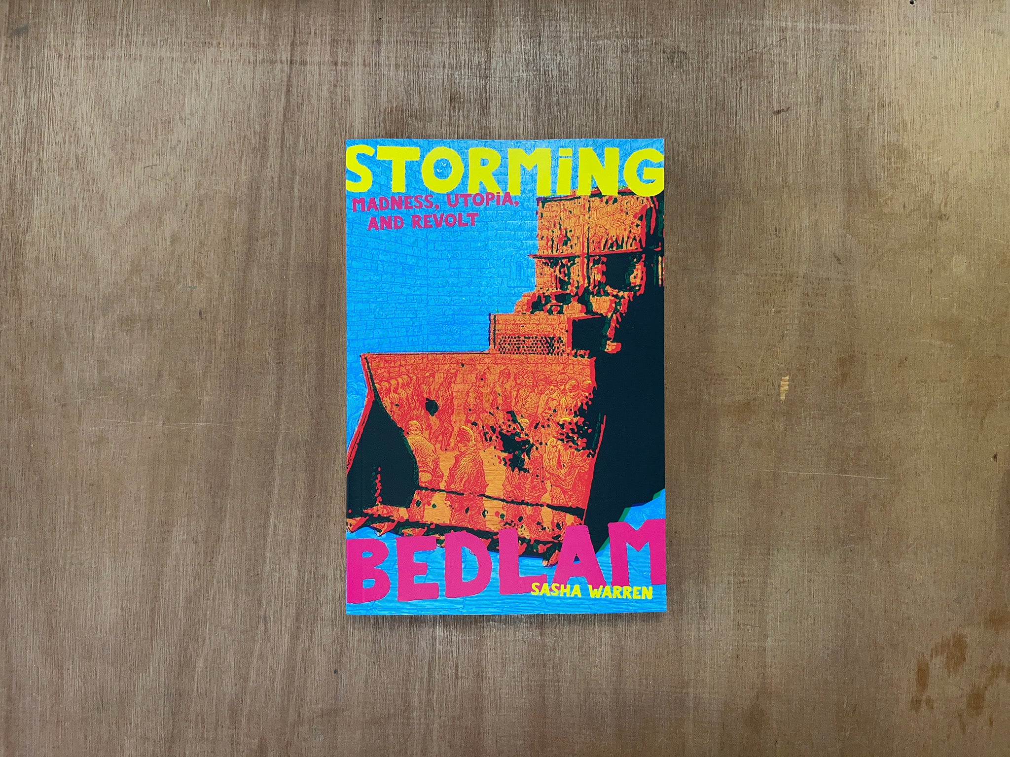 STORMING BEDLAM: MADNESS, UTOPIA, AND REVOLT by Sasha Warren