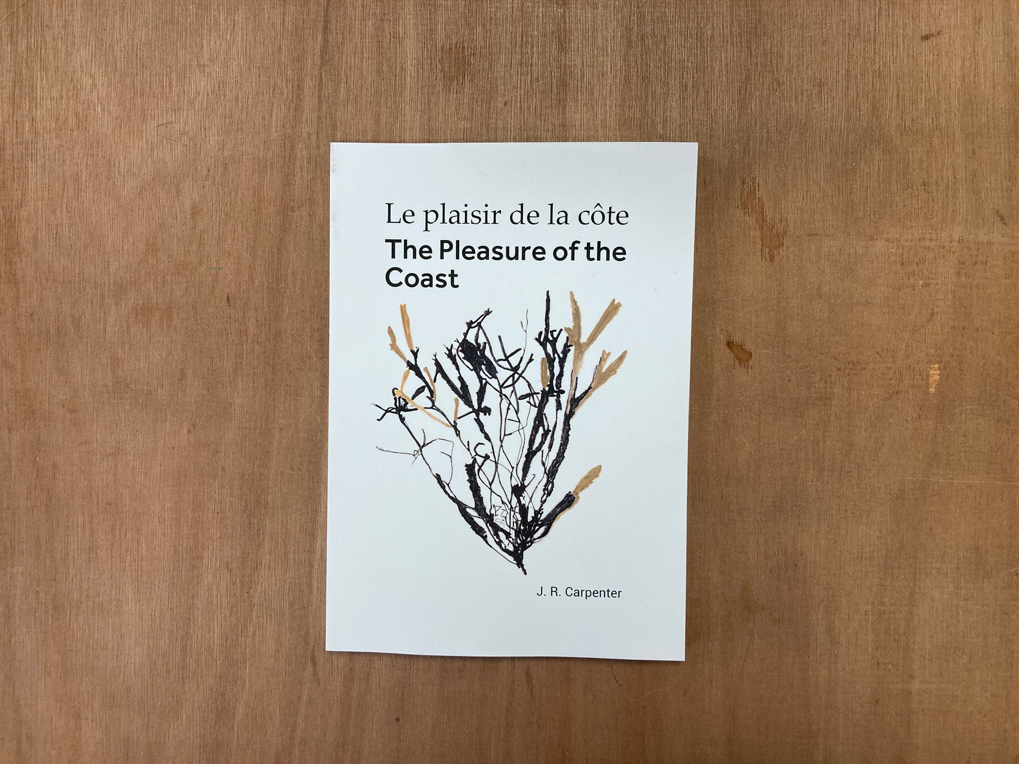 LE PLAISIR DE LA CÔTE / THE PLEASURE OF THE COAST by J.R. Carptenter