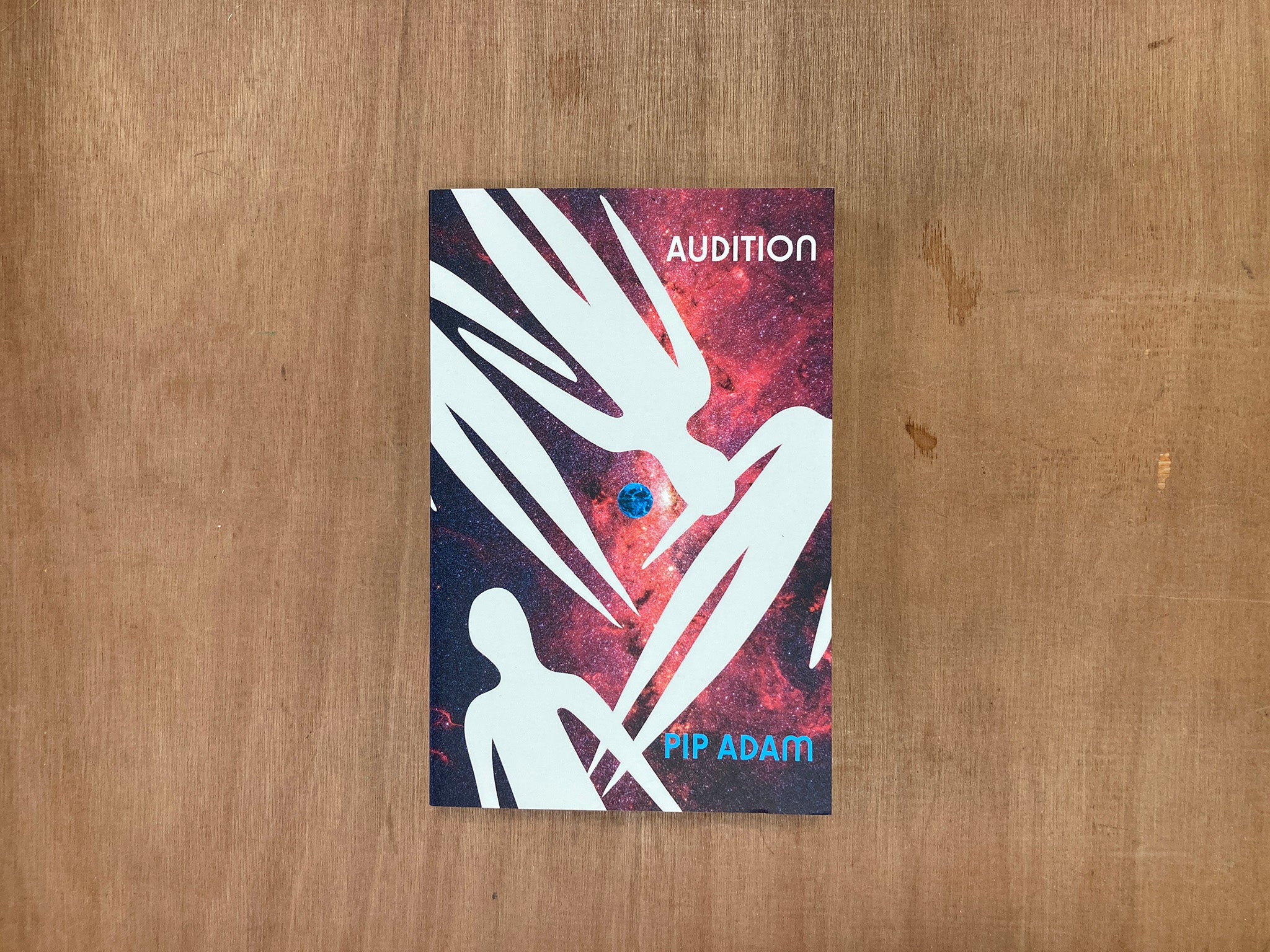 AUDITION by Pip Adam – Good Press — good books & more