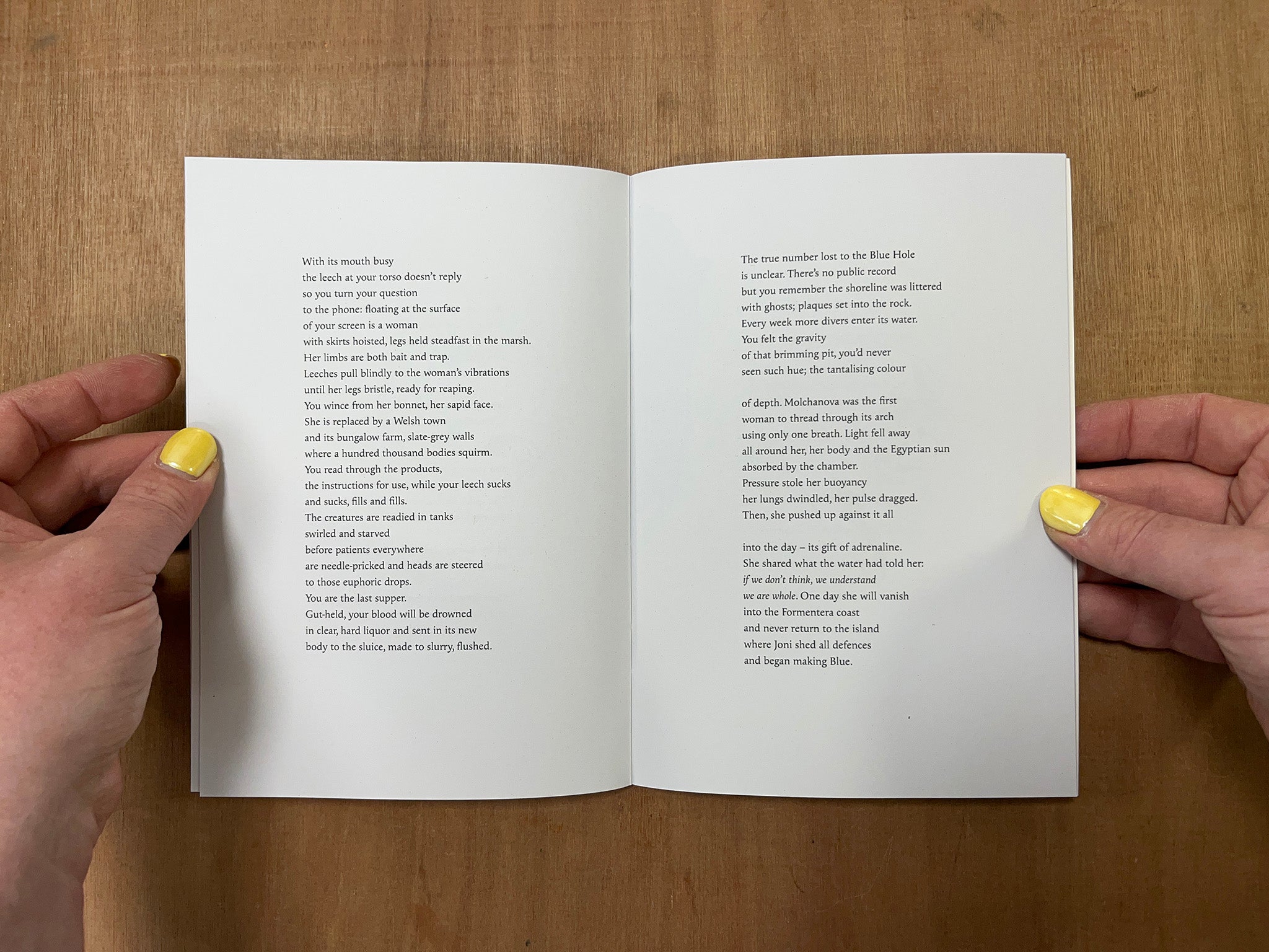 SPLENECTOMY by Eloise Birtwhistle