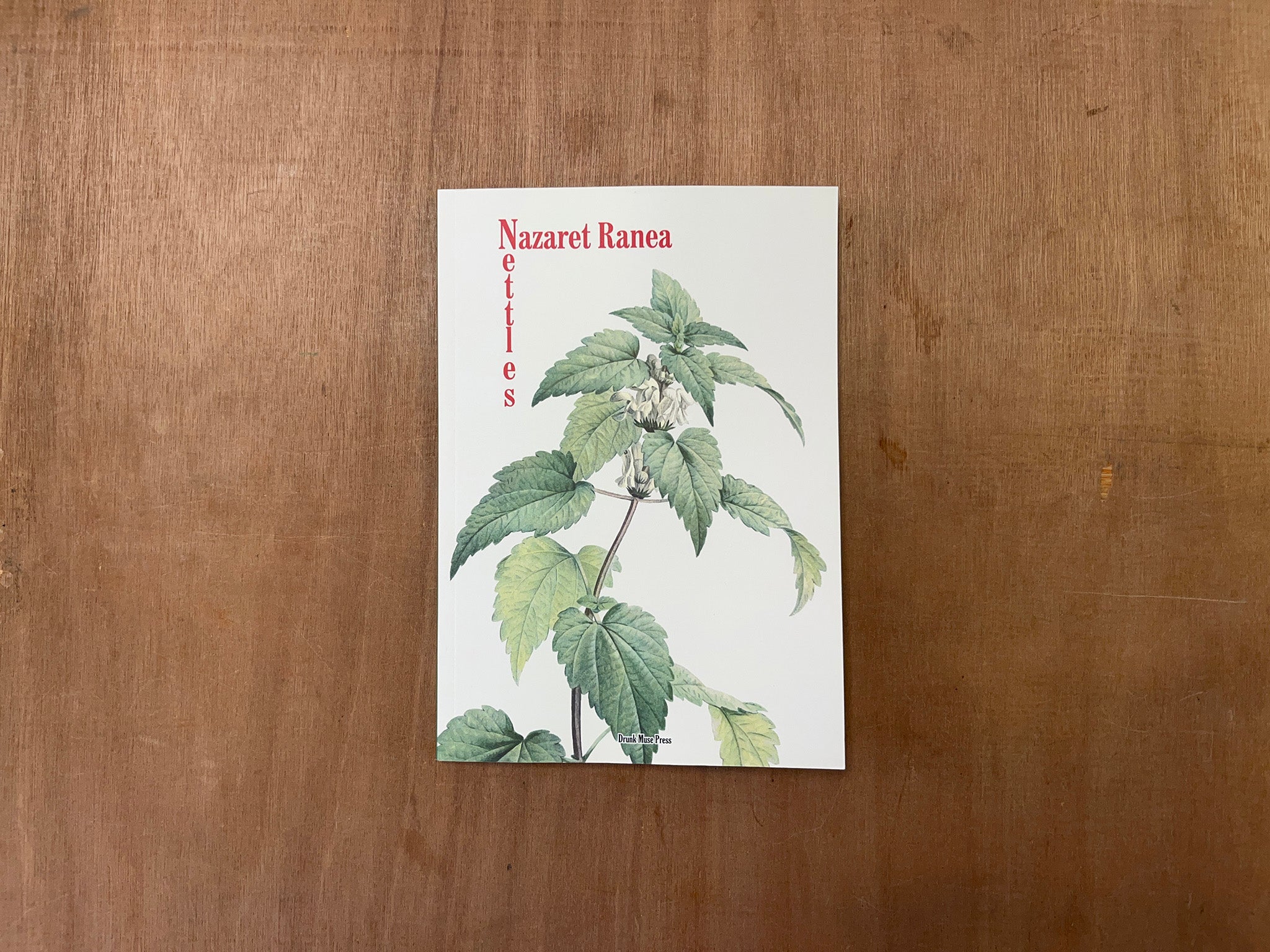 NETTLES by Nazaret Ranea