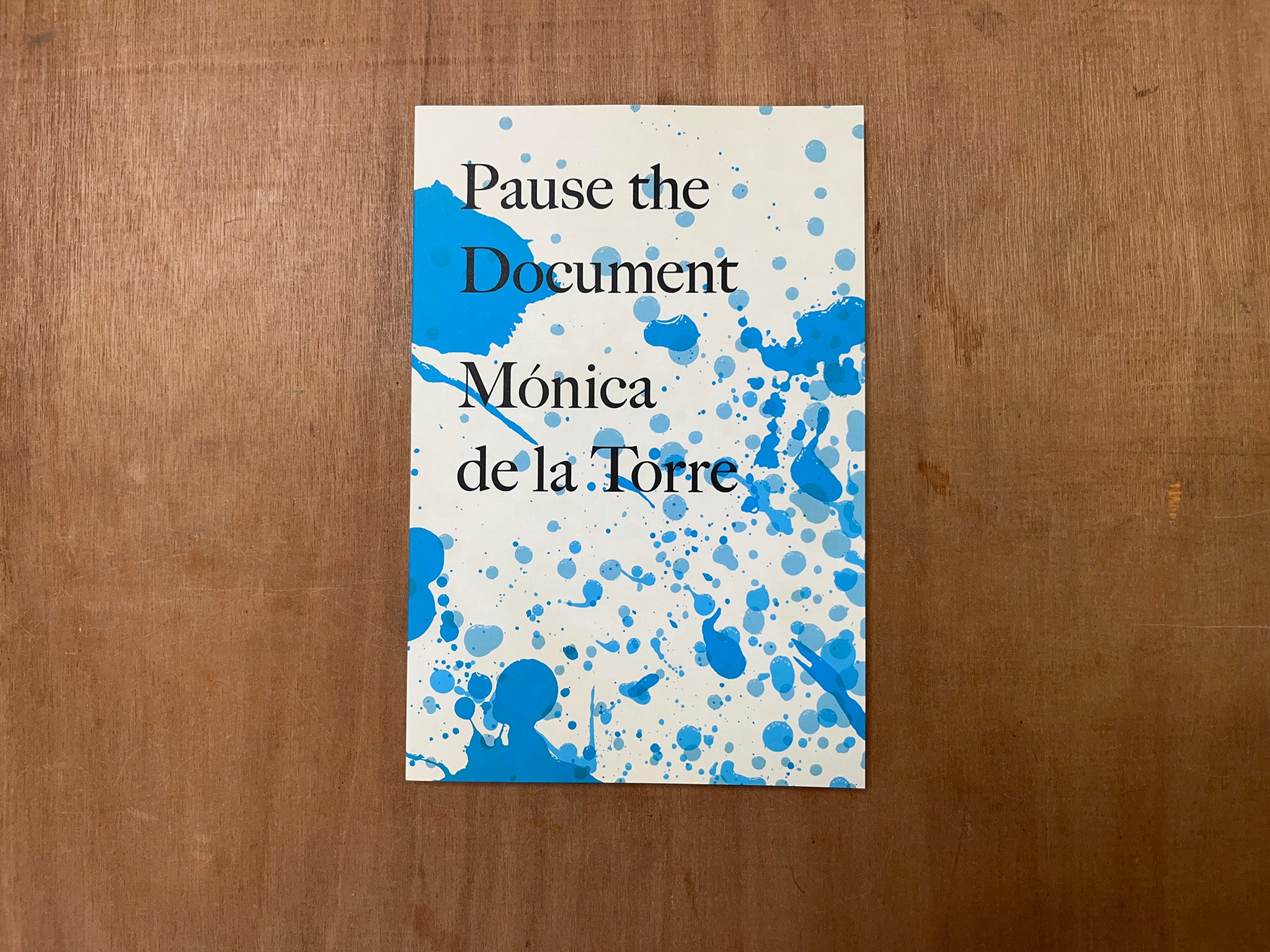 PAUSE THE DOCUMENT by Mónica de la Torre