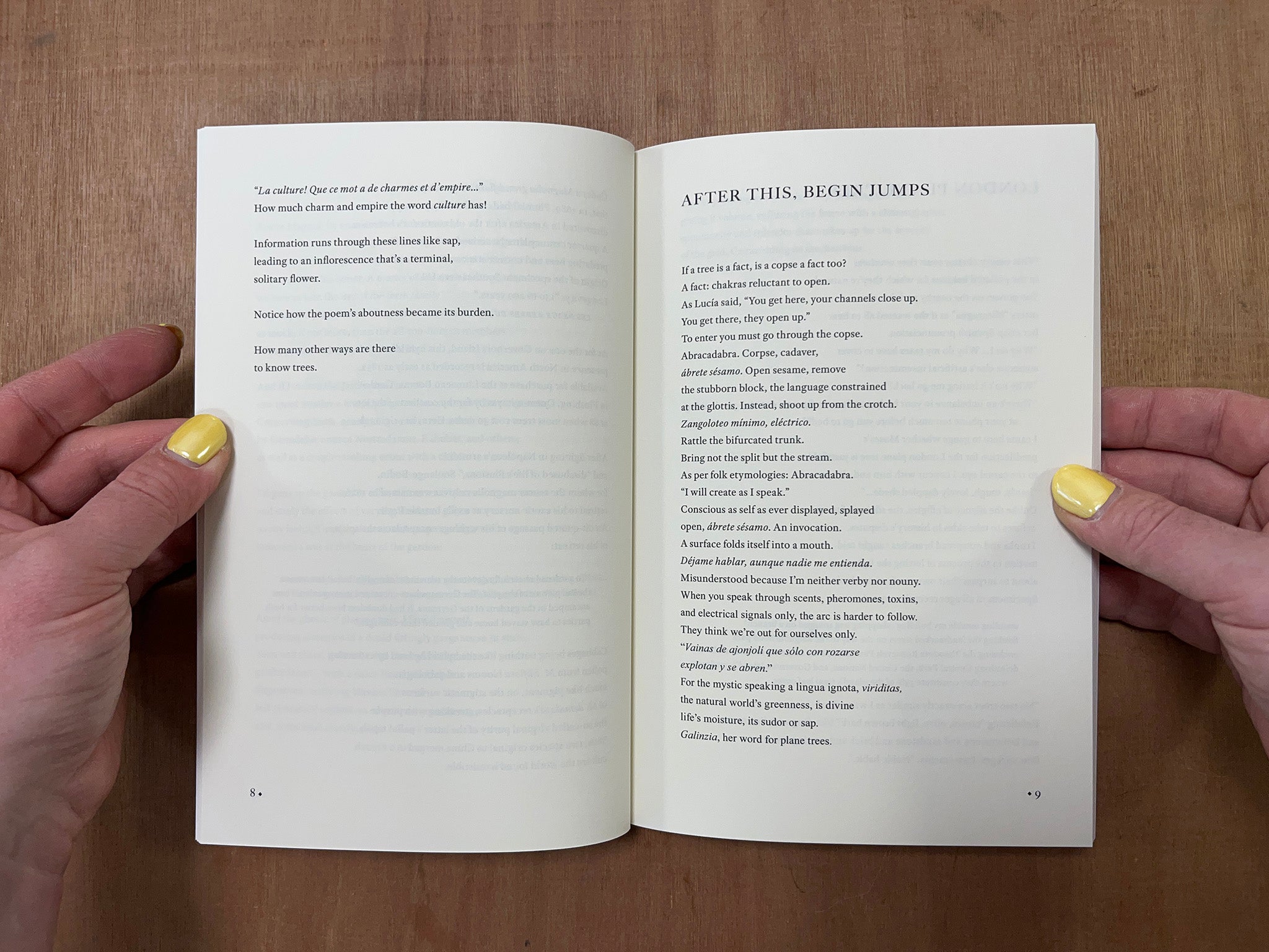 PAUSE THE DOCUMENT by Mónica de la Torre