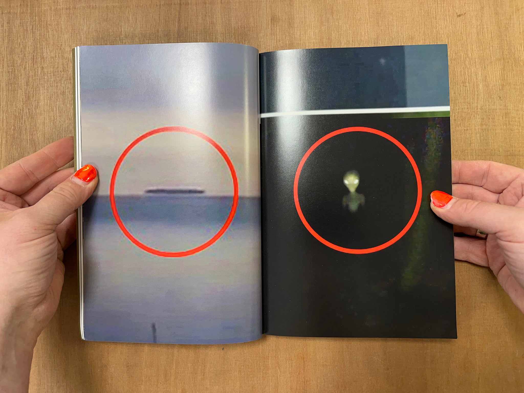 PARALLAX: CONSPIRACY THEORIES, DETAILS, AND THE ACT OF LOOKING CLOSELY