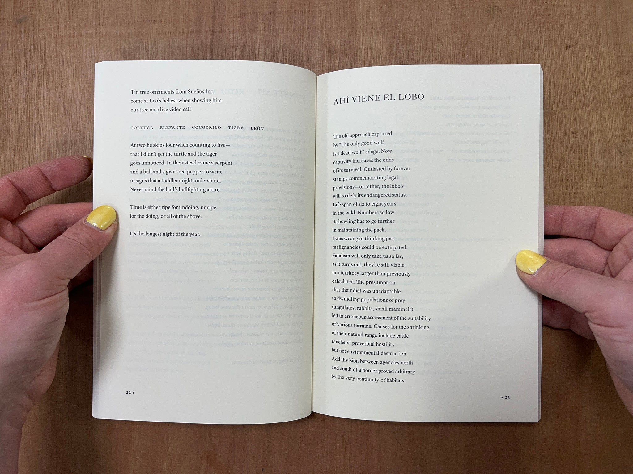 PAUSE THE DOCUMENT by Mónica de la Torre