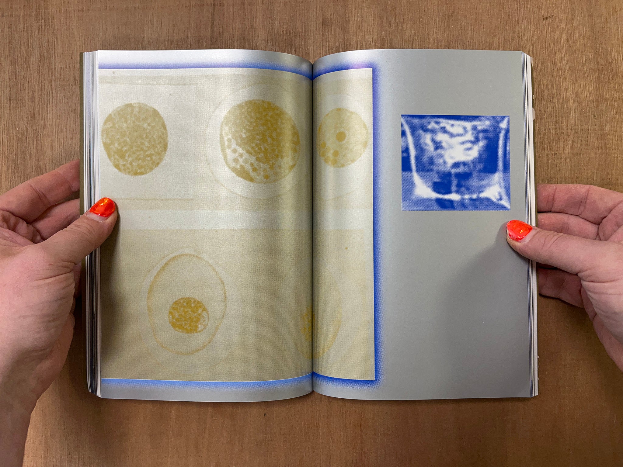 PARALLAX: CONSPIRACY THEORIES, DETAILS, AND THE ACT OF LOOKING CLOSELY