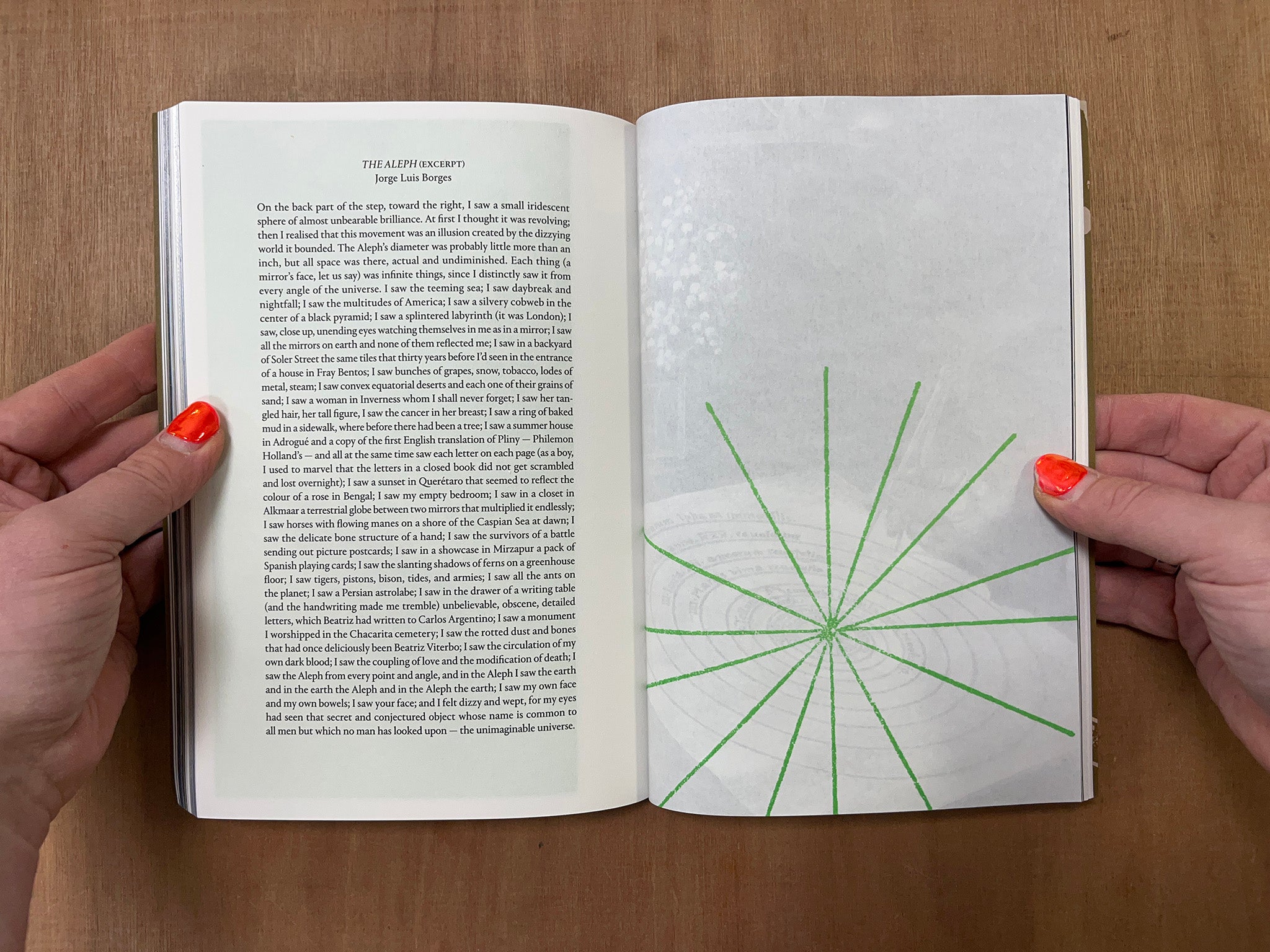 PARALLAX: CONSPIRACY THEORIES, DETAILS, AND THE ACT OF LOOKING CLOSELY