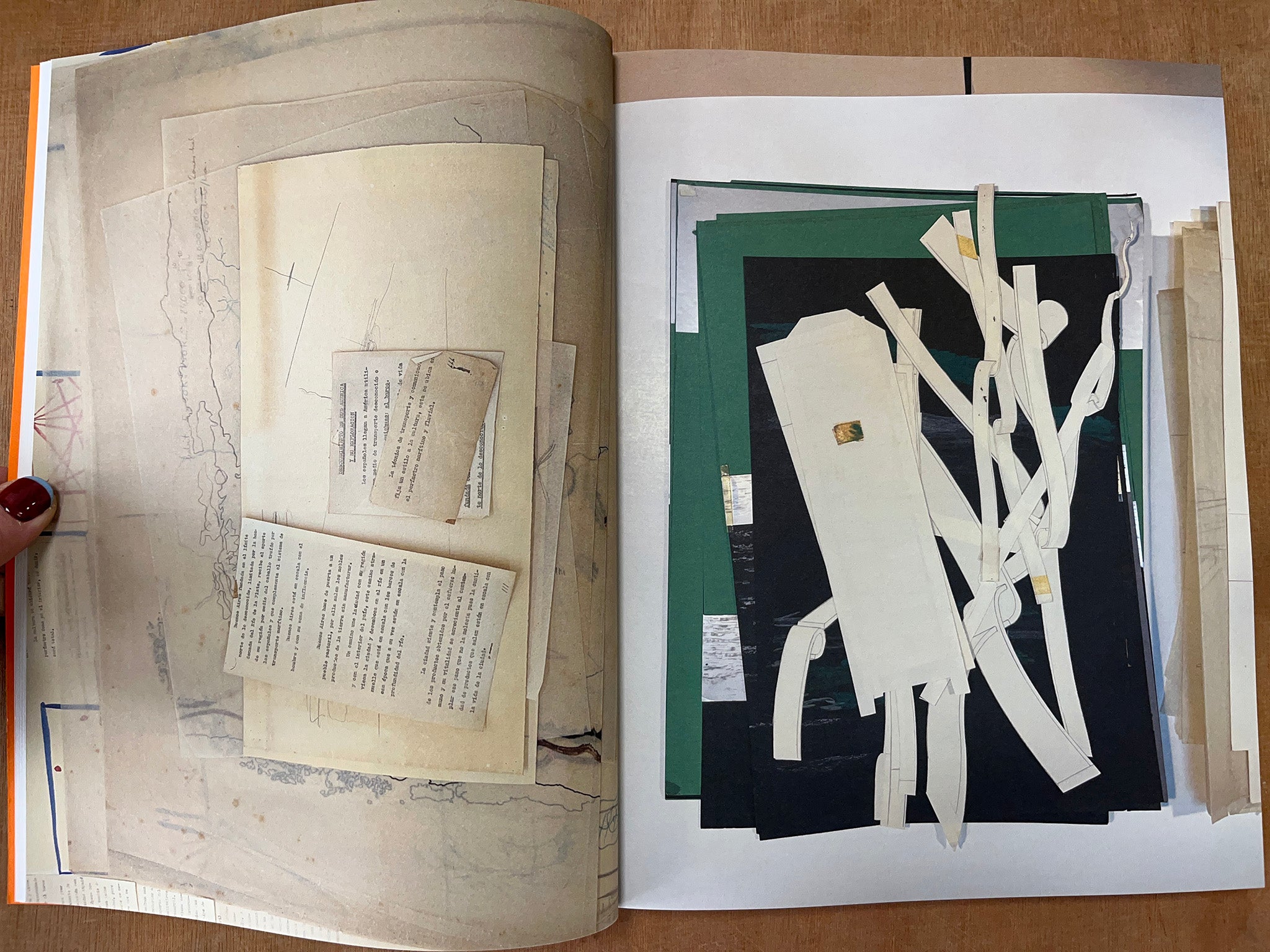 AP 205 AMANCIO WILLIAMS: READINGS OF THE ARCHIVE by Canadian Centre for Architecture (Eds.)