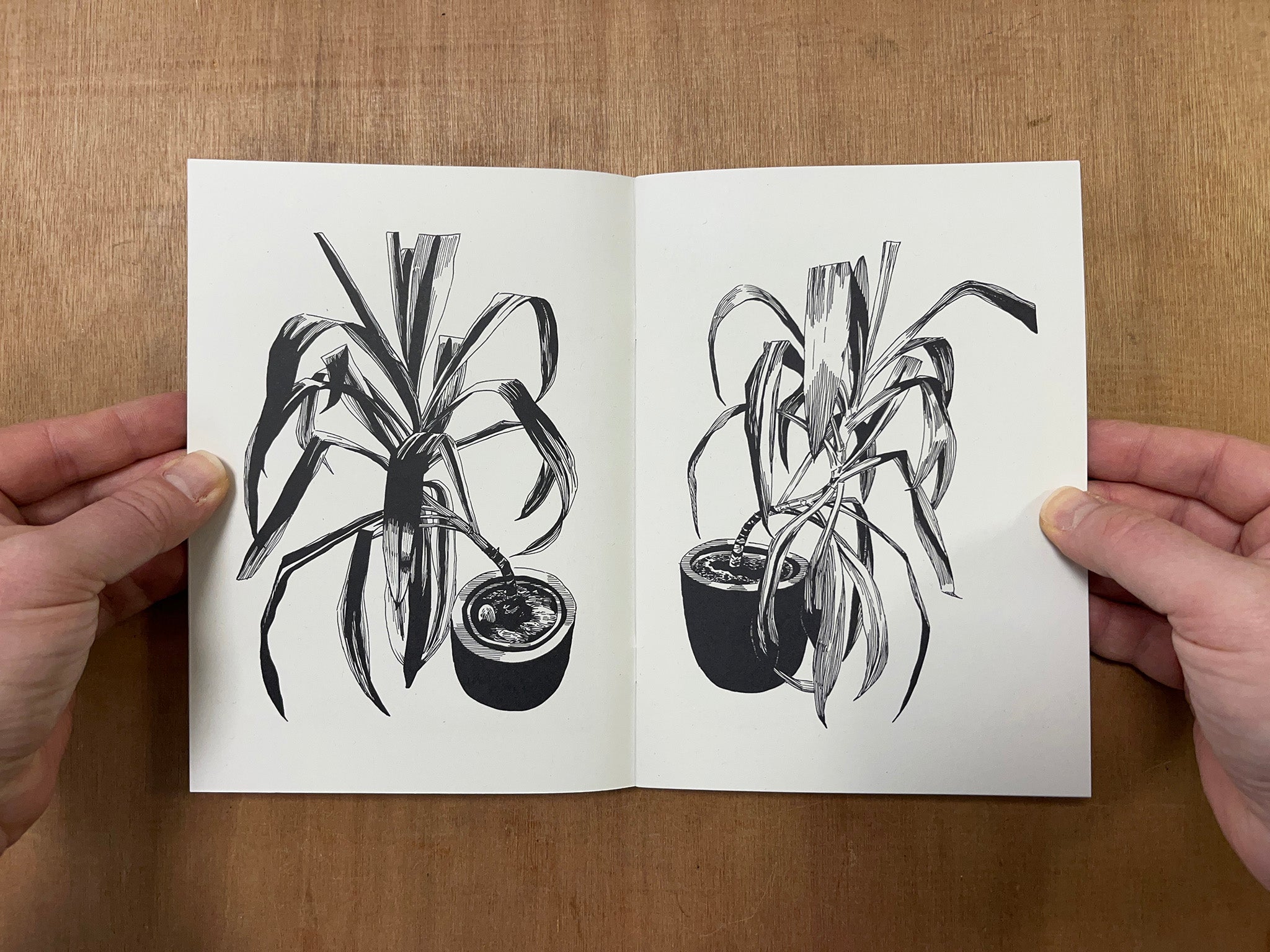 INTO EVERY GENERATION A SLAYER IS BORN by Joel Benjamin