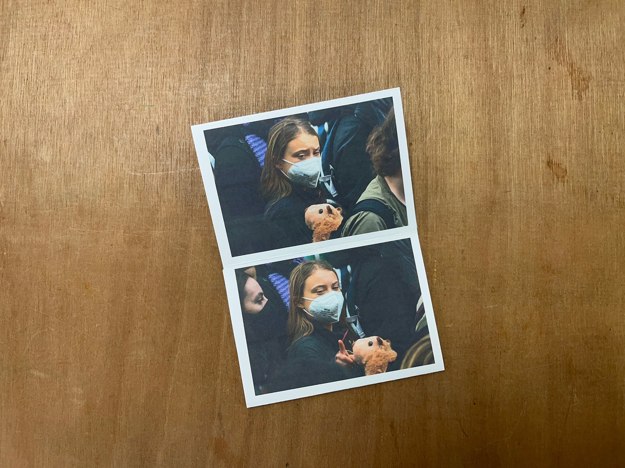 GRETA THUNBERG BOOPED A SNOOT by Alasdair Watson