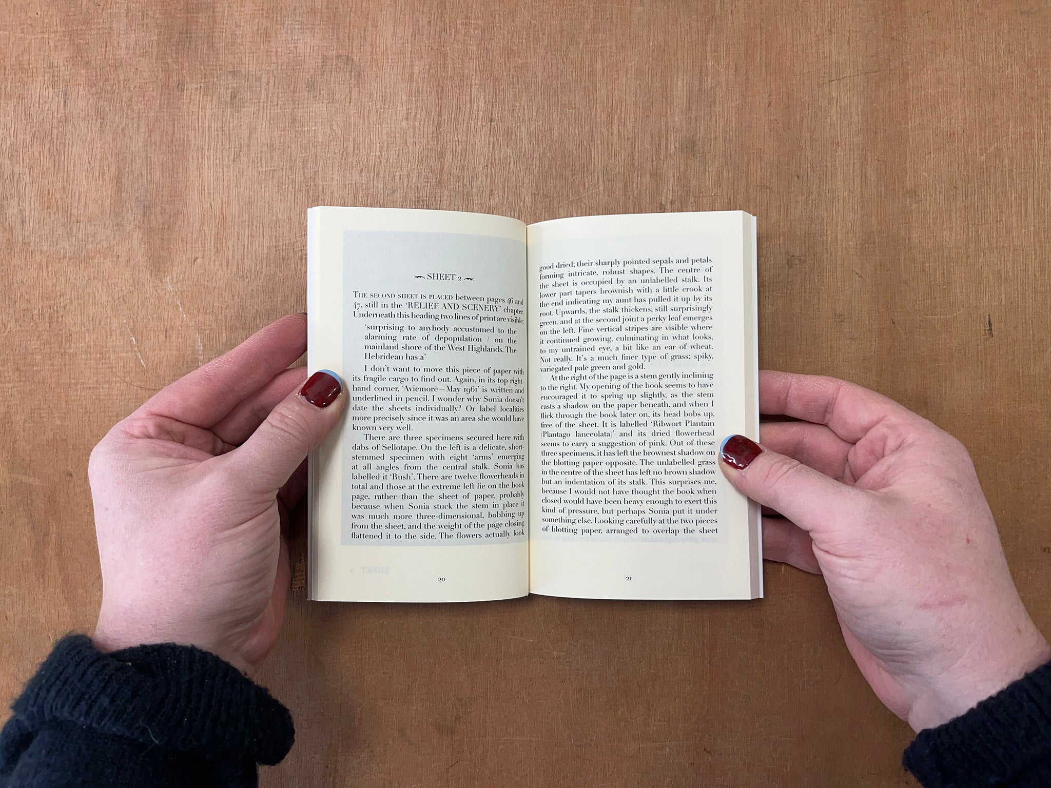 SONIA'S BOOK by Bridget Penney