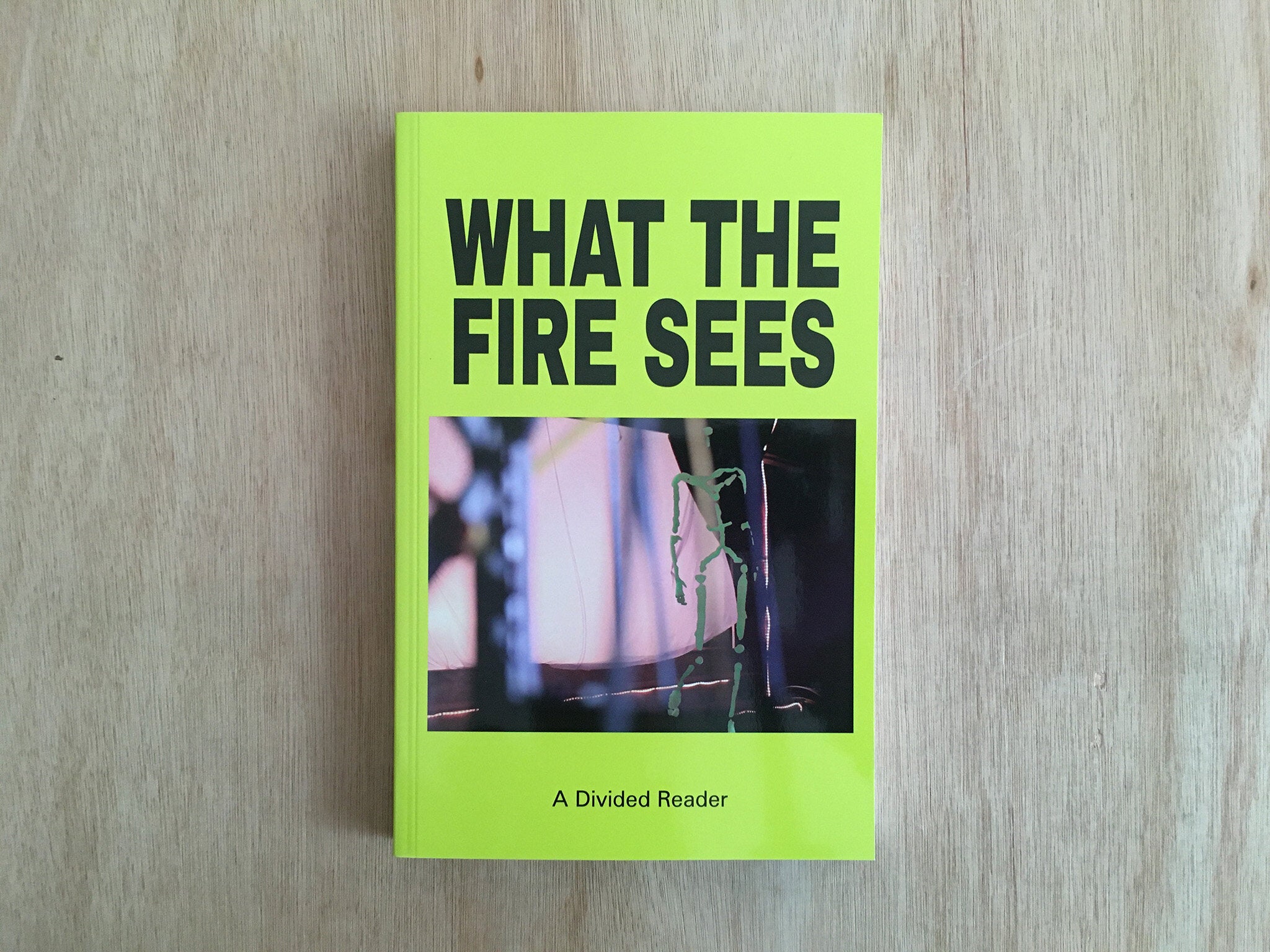 A DIVIDED READER – WHAT THE FIRE SEES by Various Artists