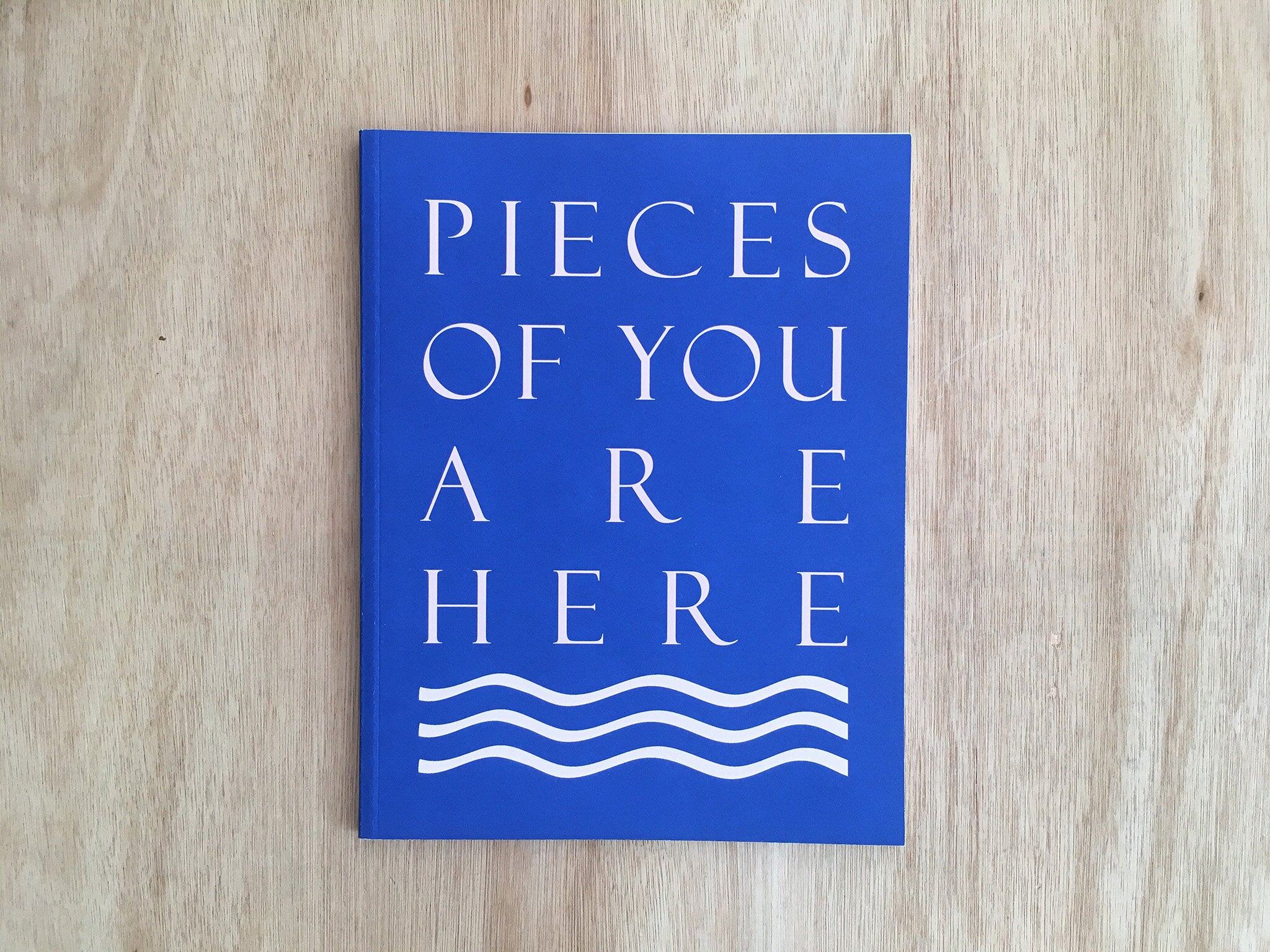 PIECES OF YOU ARE HERE by Lorna Macintyre