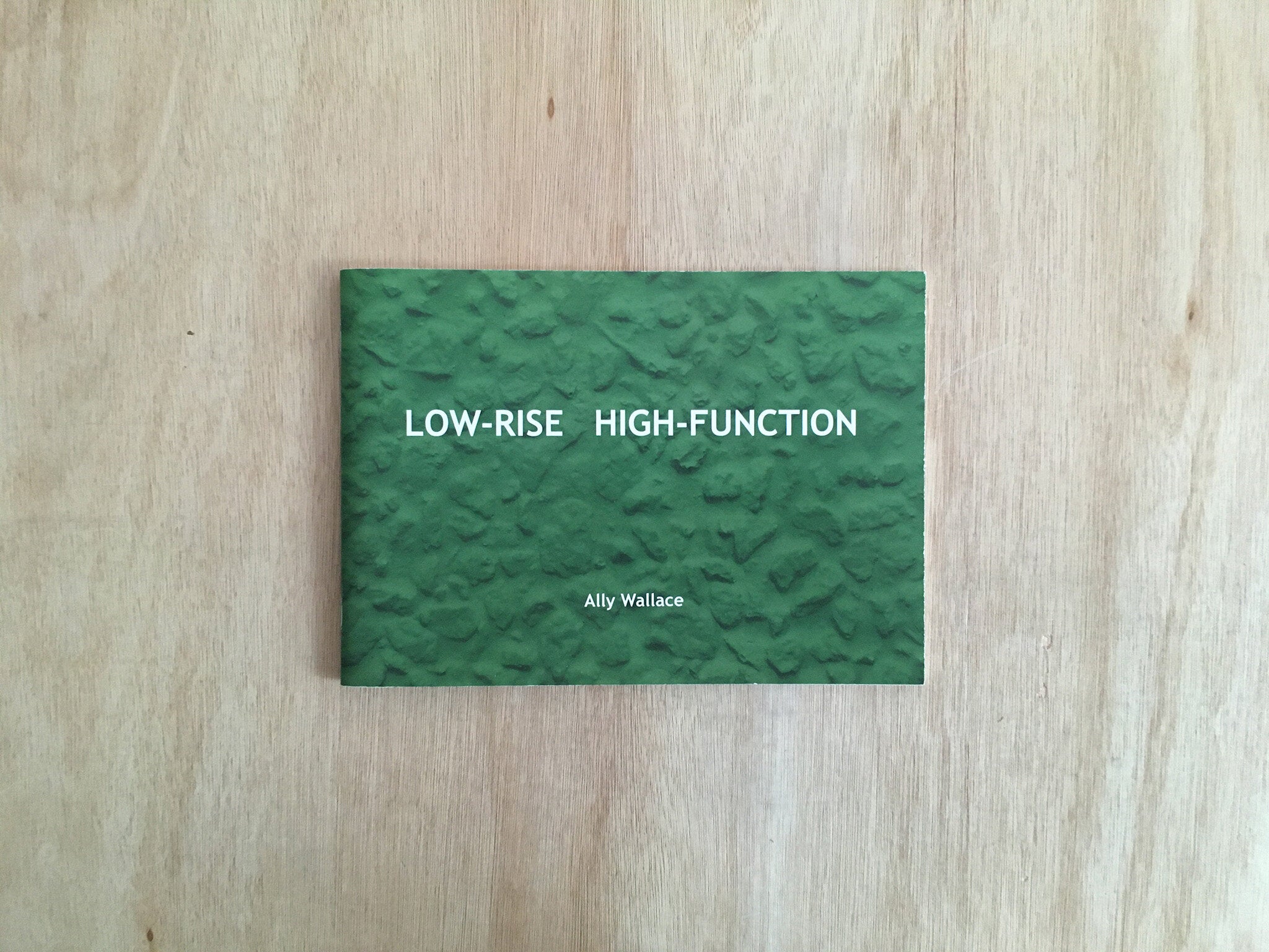 LOW-RISE HIGH-FUNCTION by Ally Wallace