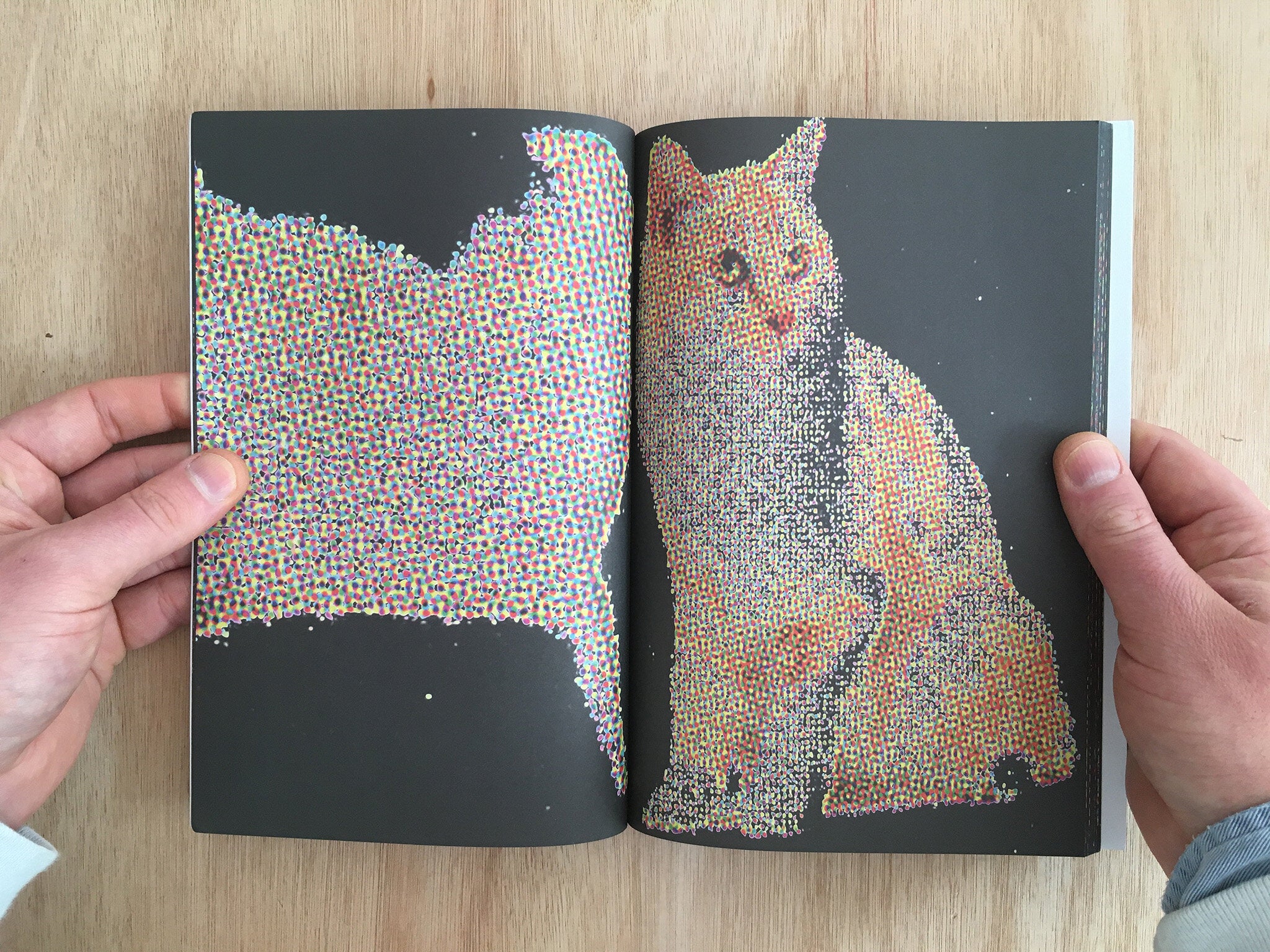 THE TRUTH ABOUT CATS & DOGS by Zak Kitnick & Ed Halter