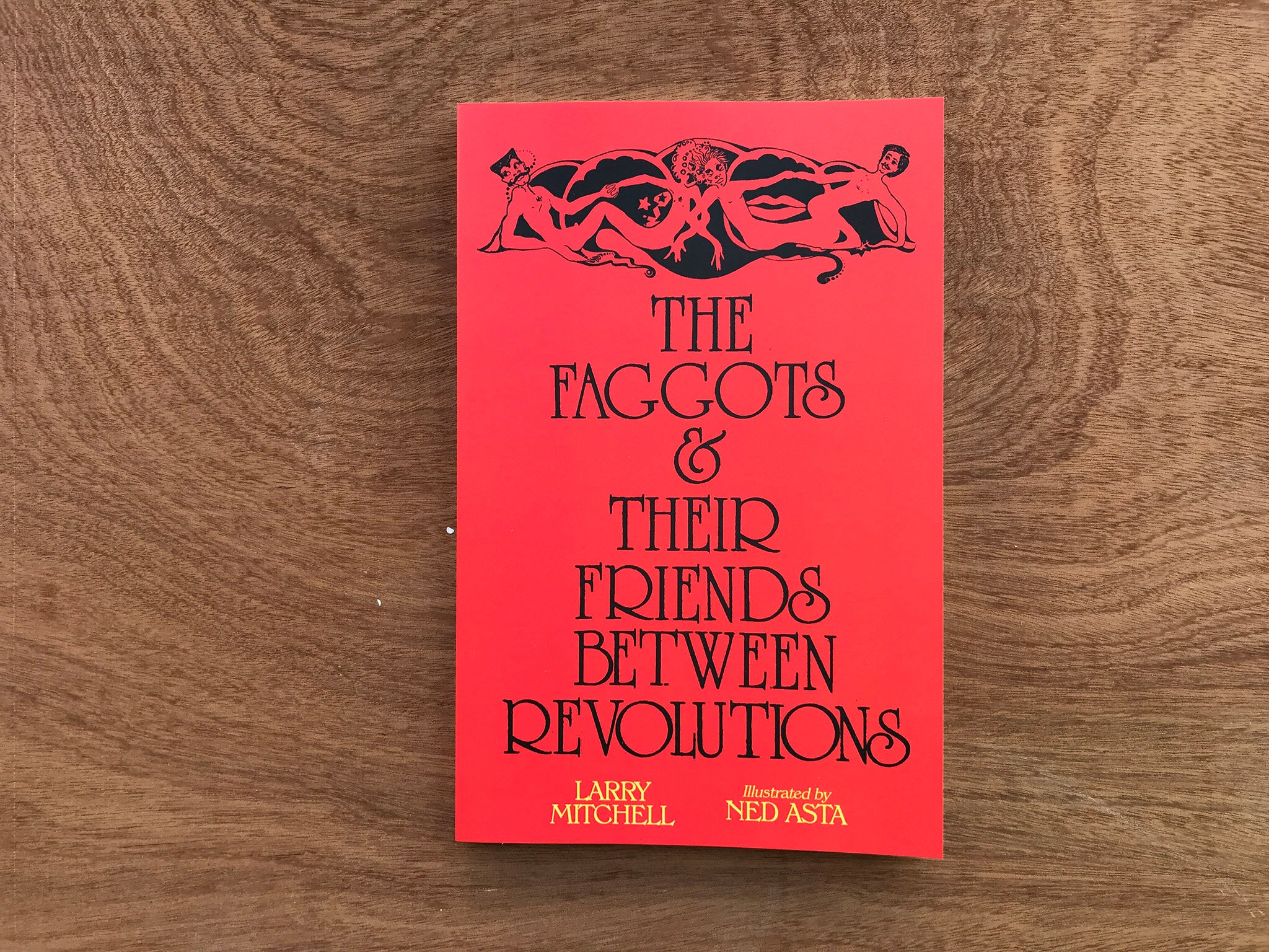 THE FAGGOTS AND THEIR FRIENDS BETWEEN REVOLUTIONS by Larry Mitchell and Ned Asta
