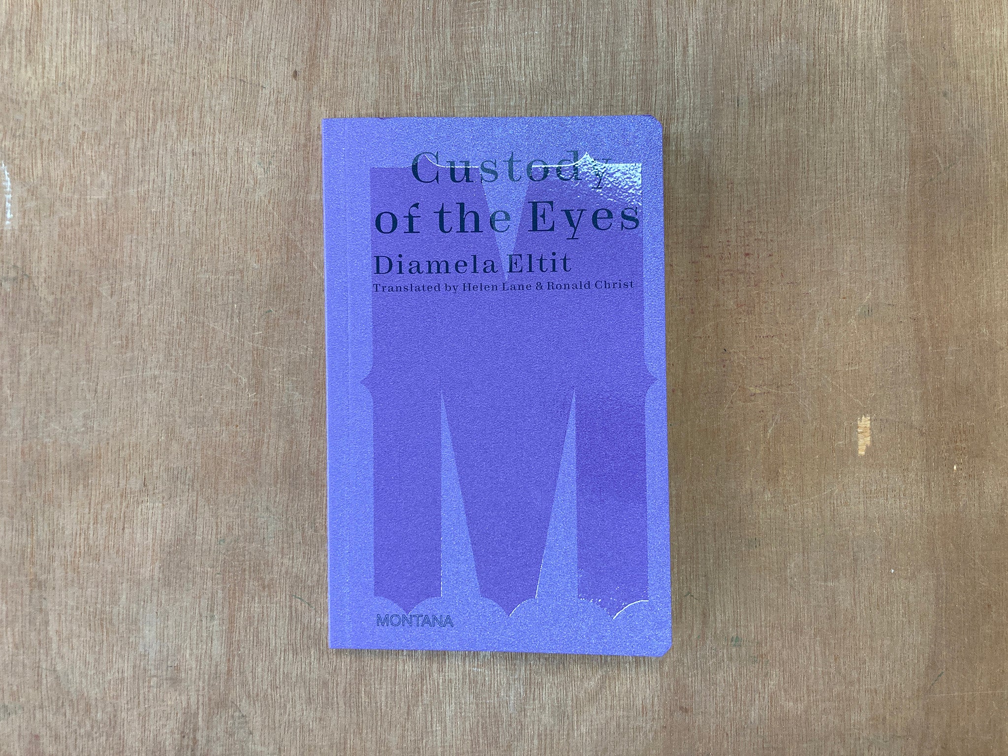 CUSTODY OF THE EYES by Diamela Eltit
