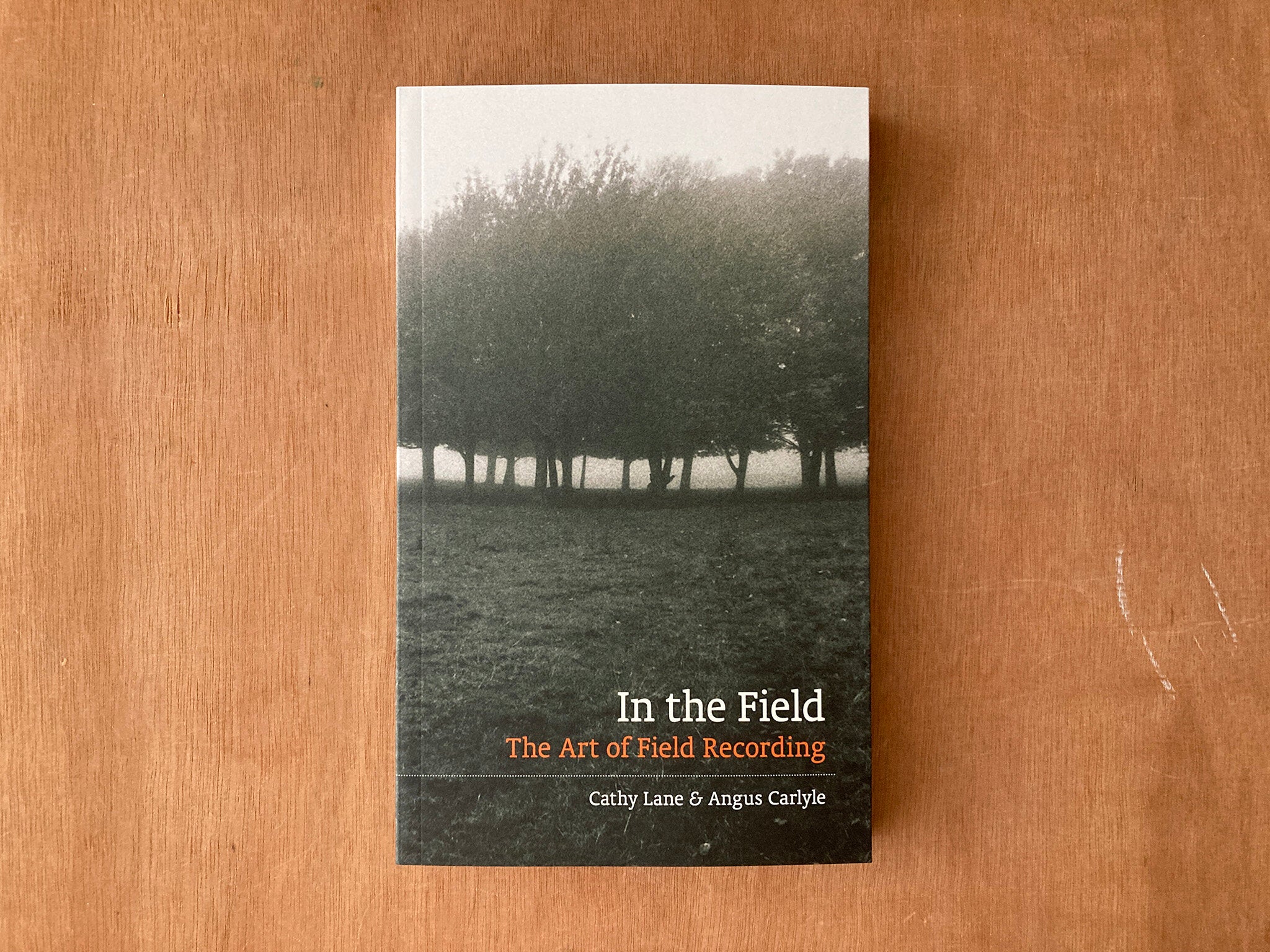 IN THE FIELD: THE ART OF FIELD RECORDING by Cathy Lane and Angus Carlyle