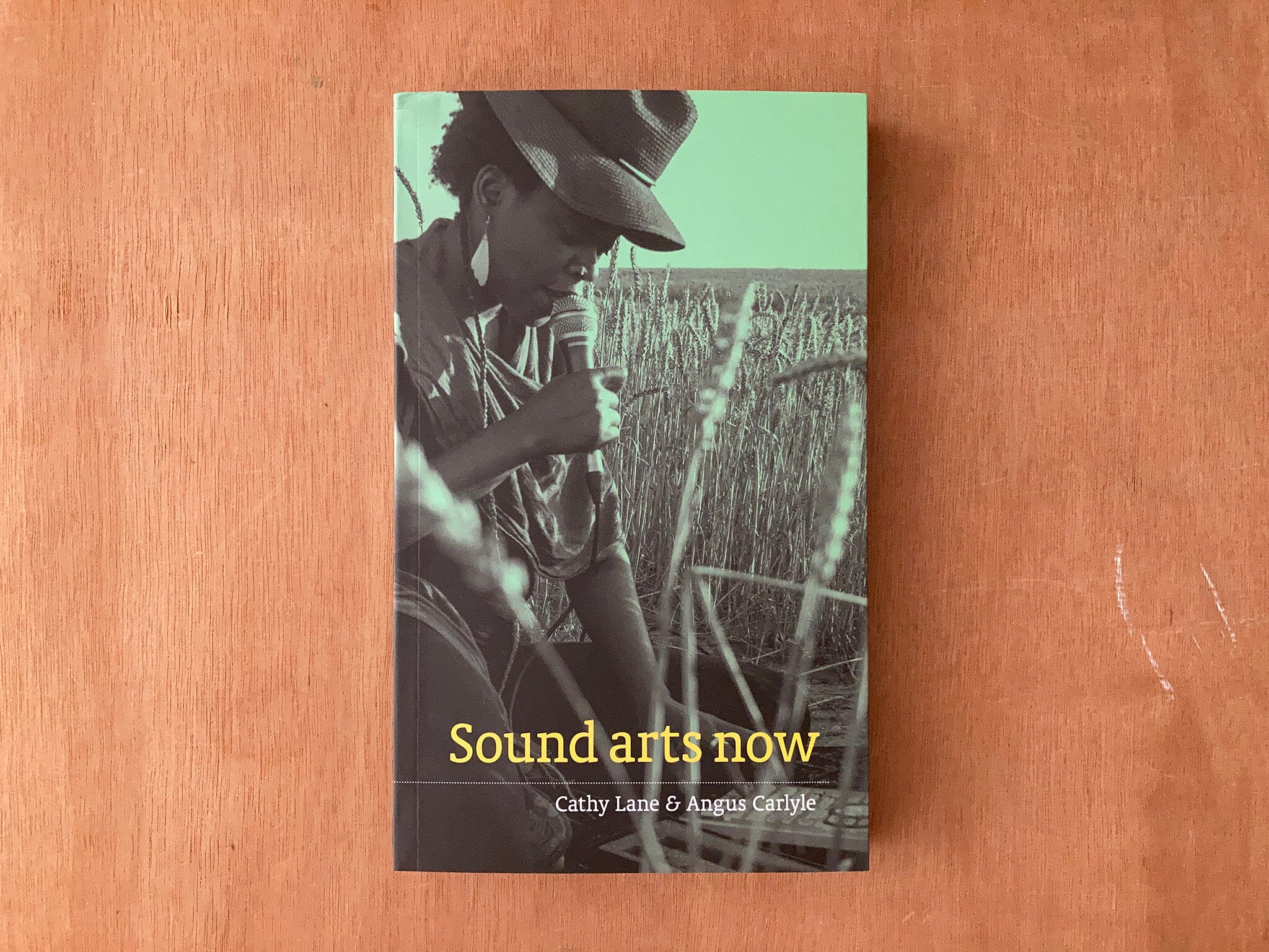 SOUND ARTS NOW by Cathy Lane and Angus Carlyle