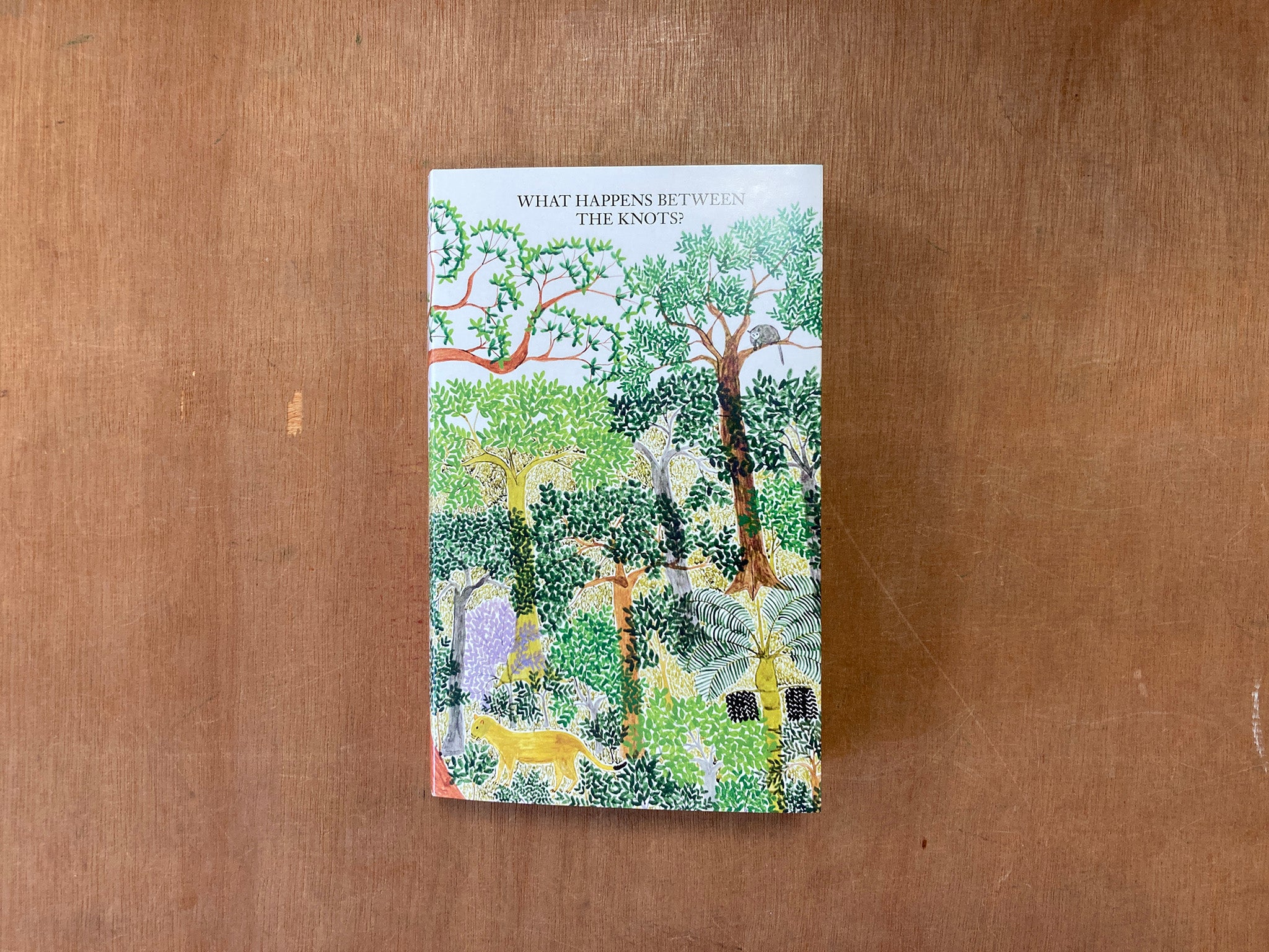 WHAT HAPPENS BETWEEN THE KNOTS? edited by Jeanne Gerrity and Anthony Huberman