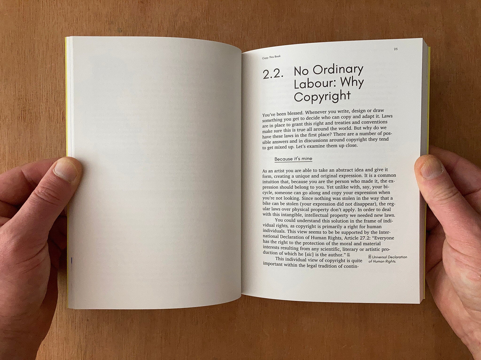 COPY THIS BOOK: AN ARTIST’S GUIDE TO COPYRIGHT by Eric Schrijver