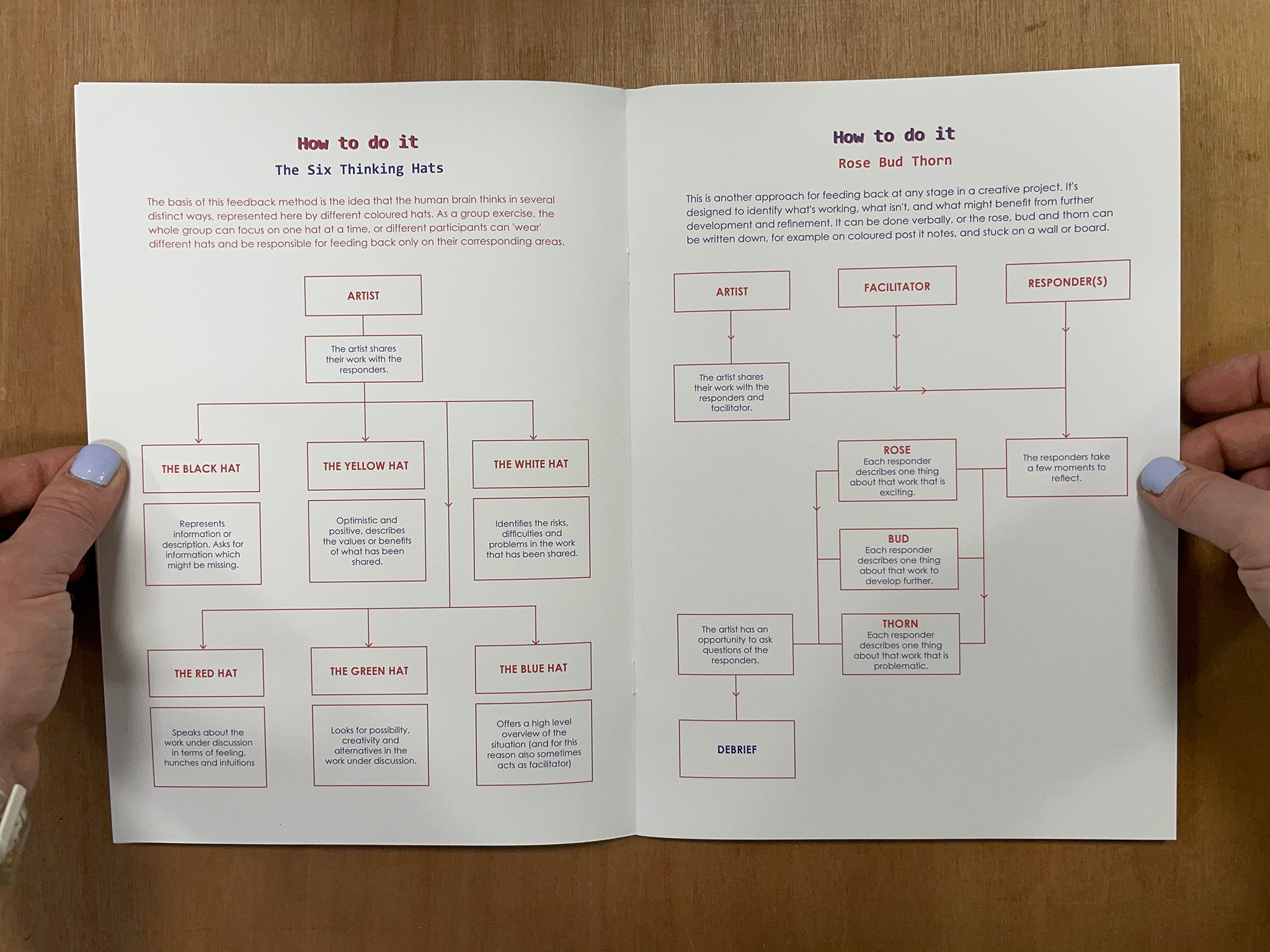 A PEER MENTORING GUIDE by Lewis Bush & Chloe Cooper